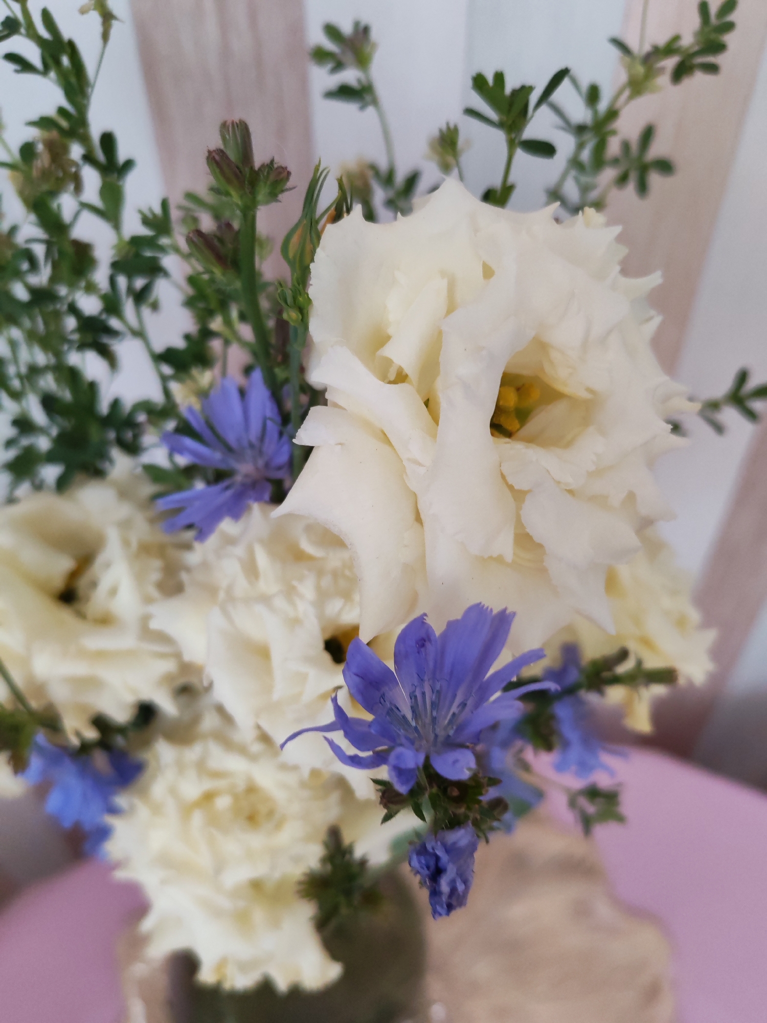 A close-up, shallow depth of field shot shows a bouquet of flowers, with a primary focus on creamy white, ruffled blossoms and delicate blue flowers. The white flowers have a soft, almost translucent quality, with visible yellow centers on some. The blue flowers, appearing to be chicory, have thin, spiky petals. Green foliage and small, budded stems fill the spaces between the flowers, adding texture and depth. The background consists of soft, vertical stripes in pale pink and white, suggesting a painted wall or fabric. A hint of a pink surface is visible at the bottom right corner. The scene is indoors, likely a domestic setting. The image does not provide any specific information about the city of Izhevsk, Russia.