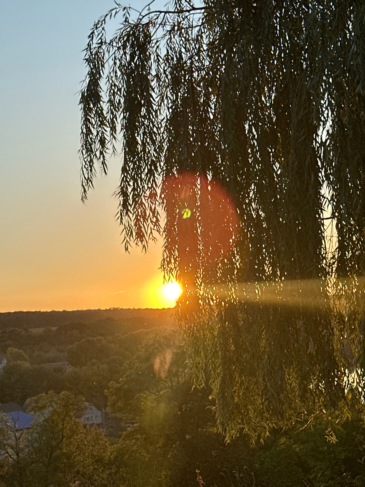 An outdoor, eye-level, medium shot captures a sunset over a rural landscape in Makiv, Ukraine. The sun, a bright orb of orange, is partially obscured by the hanging branches of a weeping willow tree in the foreground. The tree's leaves, rendered as silhouettes, are dark and feathery. Lens flare from the setting sun creates streaks of light and a reddish-orange glow across the image, particularly on the right side. Below the tree, a rolling landscape of trees and some houses is visible, bathed in the warm, golden light of the sunset. The sky transitions from a pale blue at the top to a soft orange near the horizon. The overall impression is one of natural beauty and tranquility at dusk.