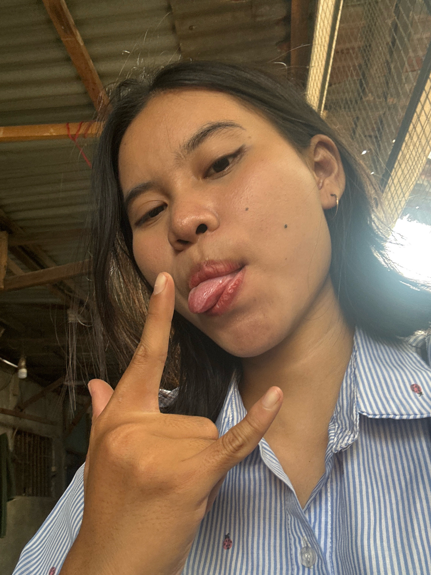 A young woman, likely in her late teens or early twenties, is pictured from the chest up. She has dark hair and her face is turned towards the camera. She is sticking her tongue out and making a "rock on" hand gesture with her right hand, which is in the foreground. She is wearing a blue and white striped shirt with small ladybug patterns. The background appears to be an outdoor or semi-outdoor setting with corrugated metal roofing and wooden structures, suggestive of a less formal urban or rural environment. The lighting indicates it is daytime, with some strong highlights.
The image does not contain enough information to pinpoint a specific location within East Jakarta, Indonesia. The background elements, such as the corrugated metal roofing and simple wooden structures, are common in many areas of Indonesia, both urban and rural, and do not provide distinctive geographical markers.