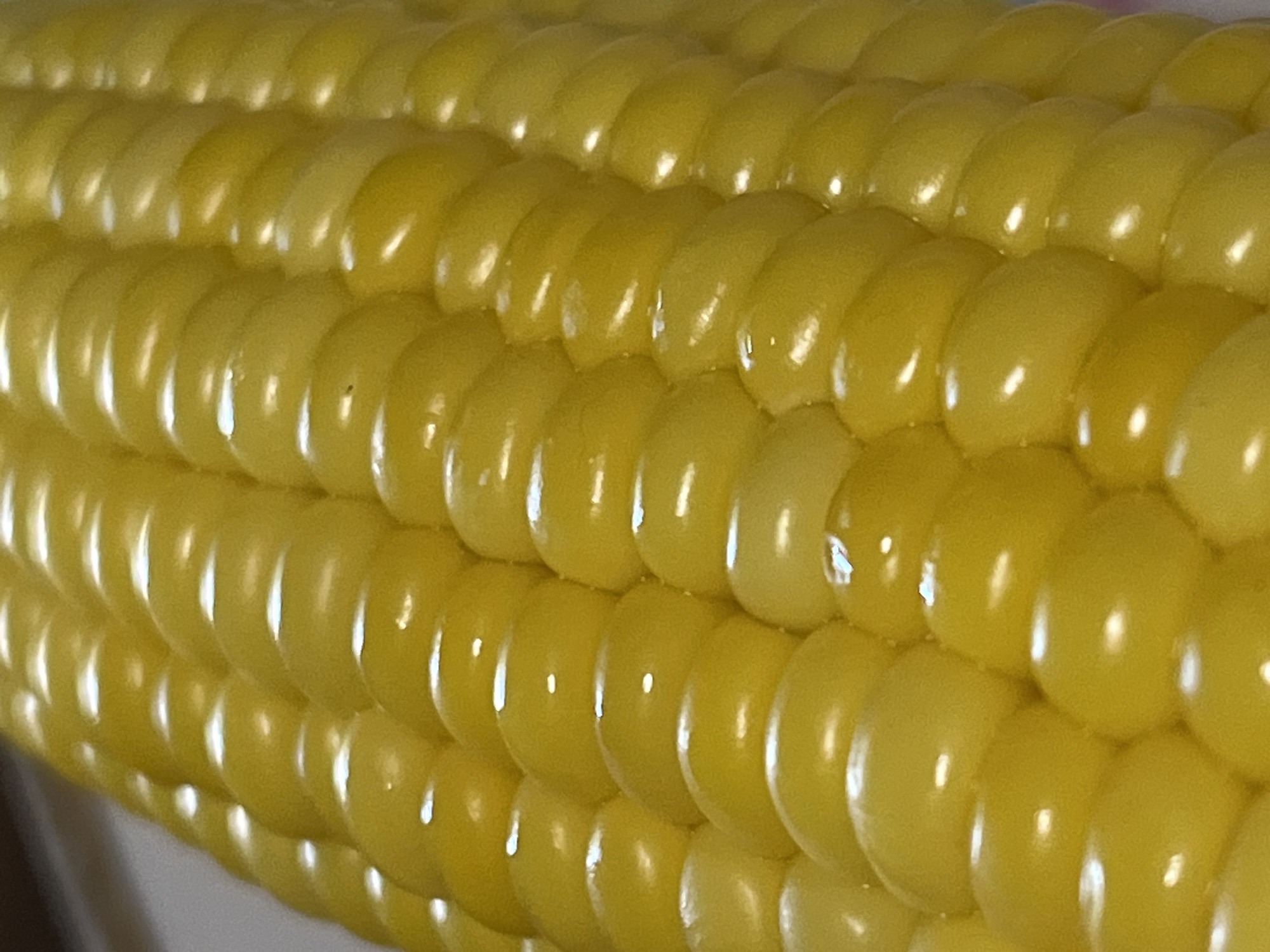 A close-up, high-angle shot shows a portion of an ear of corn. The kernels are bright yellow and plump, arranged in neat rows. Highlights from lighting glint off the smooth surfaces of the kernels. The background is out of focus, but appears to be a light-colored surface. There are no people, animals, or any signs of urban or natural environment, therefore the location in Krasnyye Barrikady, Russia cannot be determined.