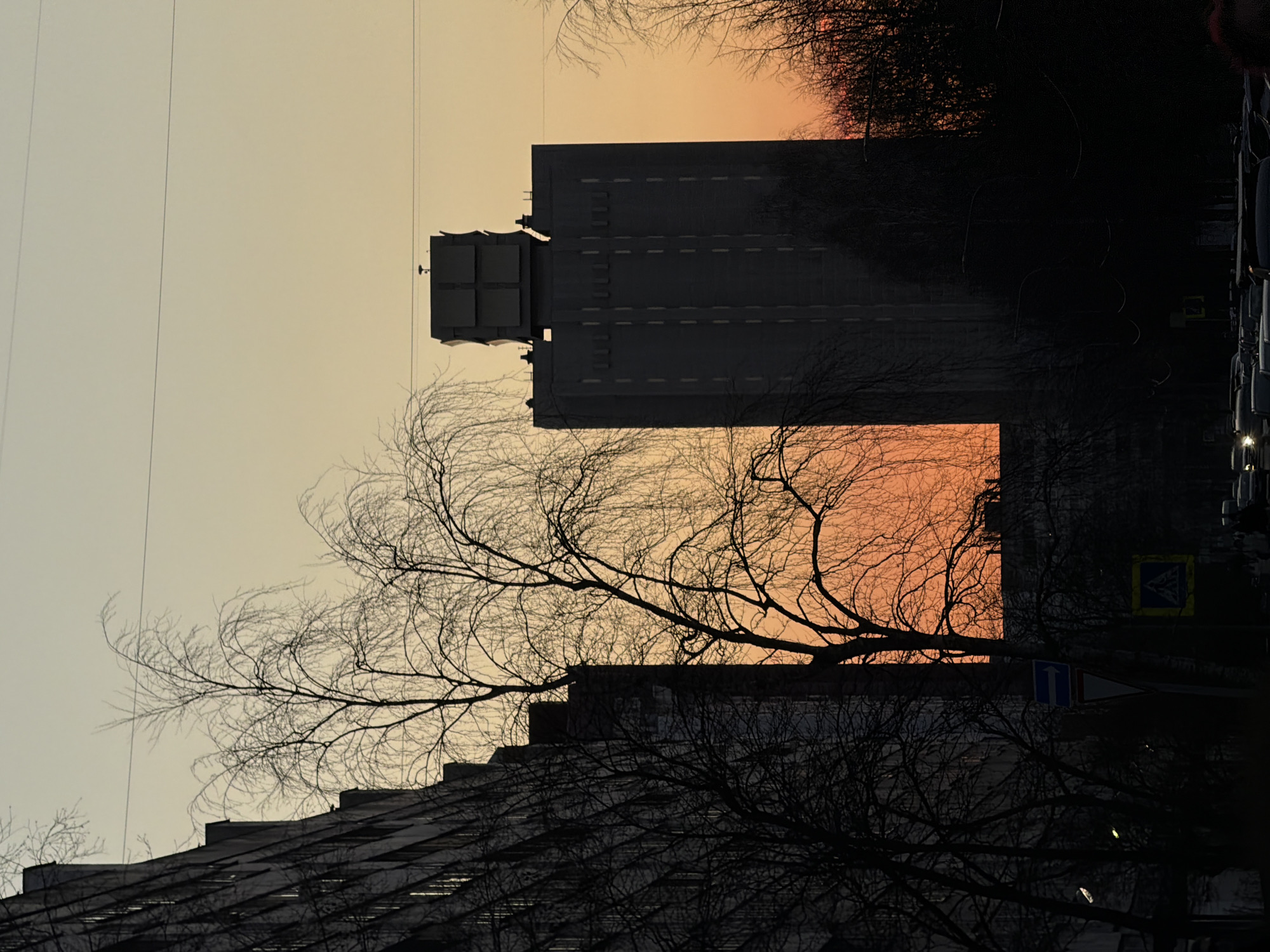 The image shows a cityscape at sunset or sunrise, likely in Saint Petersburg, Russia. The sky has a gradient of pale yellow to orange. Silhouetted against the sky are several buildings, including a tall, rectangular building with a boxy structure on top, possibly a communication or industrial building. In the foreground, there are leafless trees with intricate branches, creating a dark, detailed silhouette. The lower part of the frame contains another building, partly obscured by the trees. On the right side of the image, there is a road with cars parked along it, and road signs are visible. The overall mood is dark and urban, with the natural beauty of the sky contrasting with the industrial or residential architecture.