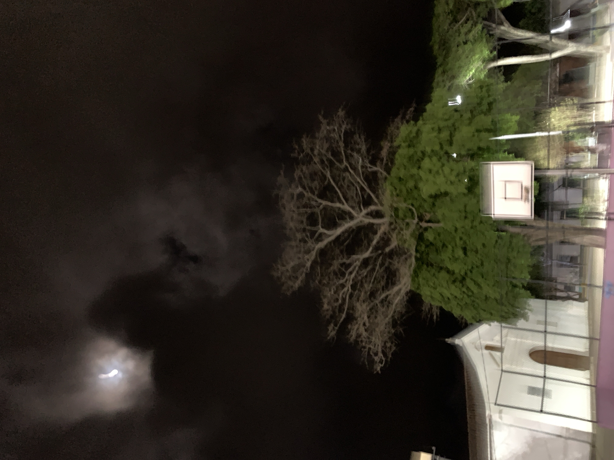 The image depicts a night scene in what appears to be a park or residential area. In the lower left corner, there's a faint moon visible through clouds in a very dark sky. A leafless tree stands prominently in the middle of the frame, adjacent to trees with green foliage. A basketball hoop is also visible, indicating a recreational area. The architecture of a building is visible, suggestive of a residence or public building. The location is uncertain, and there is no evidence that it is in Santa Ana, Venezuela. There are no people visible in the image. The overall atmosphere is dark and somewhat muted due to the nighttime setting.