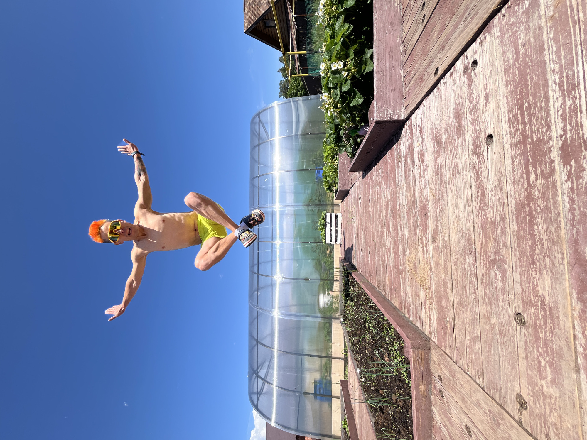An adult male with bright orange hair, yellow mirrored sunglasses, and a bare torso is captured mid-air, positioned centrally against a clear blue sky. He wears neon yellow/green shorts and dark sneakers with cartoon embellishments on the left shoe. His arms are extended outwards, palms open, with his left hand displaying a dark wristband/watch. His legs are bent at the knees and crossed at the ankles.
The scene is set in what appears to be a garden or backyard in the city of Chaikovsky, Russia, under bright daylight. A weathered reddish-brown wooden deck covers the foreground, with visible peeling paint and numerous recessed spots from fasteners. To the left, a long raised garden bed contains rows of young green plants, likely onions or similar alliums. To the right, another raised bed displays lush green foliage and white flowers, indicative of strawberry plants.
In the mid-ground, a large, arched, clear-paneled greenhouse with a metal or plastic frame is prominent, containing visible vegetation and a blue container within. A small white wooden structure, possibly a bench or planter, is situated between the greenhouse and the strawberry bed. In the background, on the right, a house with a reddish-brown shingled roof and light brown walls is partially visible, alongside green trees and yellow utility pipes. The sky is predominantly clear and deep blue, with only faint cloud formations visible on the far left horizon.
