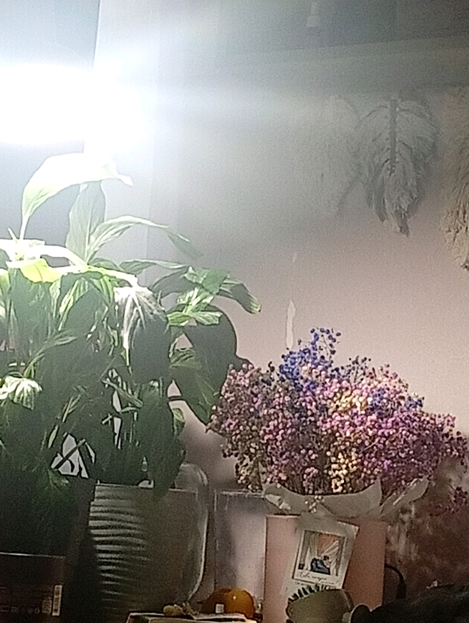 This image shows a close-up view of indoor plants and dried flowers. A large, leafy green plant is in a ribbed pot to the left, with a bright light source overhead causing a significant lens flare. To the right, a bouquet of dried flowers, primarily in shades of pink, purple, and blue, is arranged in a pale pink bucket decorated with a small framed image. In the background, a faint, feathery object, possibly a dried palm frond, hangs on a light-colored wall. The scene appears to be a domestic setting, possibly a windowsill or shelf. There is no indication of the city of Lesnoy, Russia, within the image content.