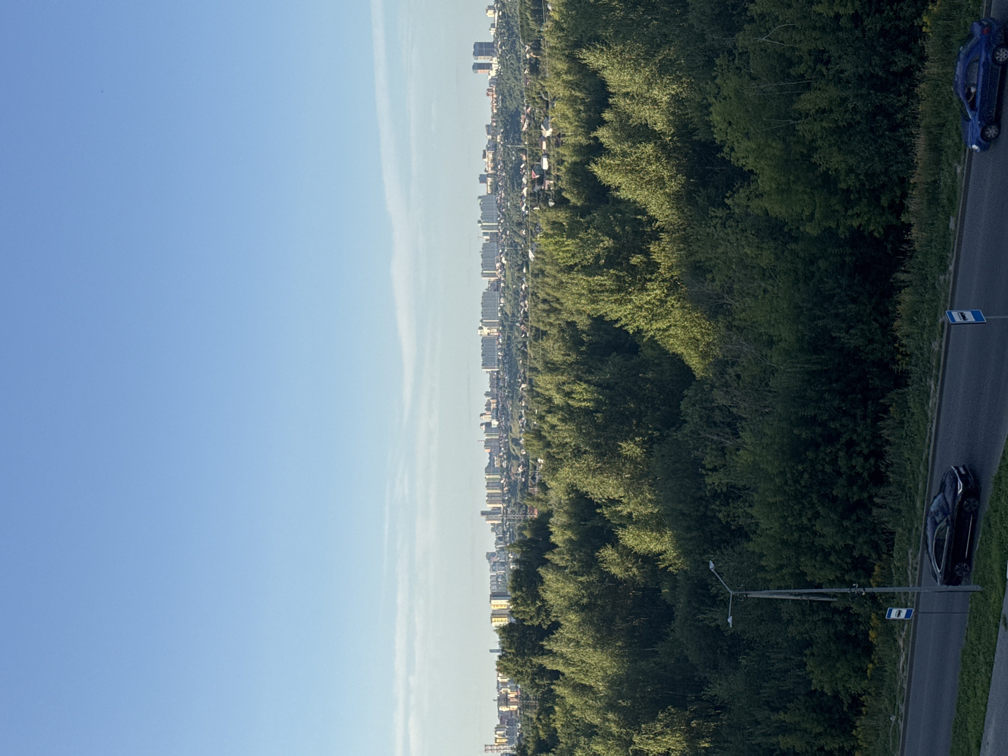 An aerial perspective captures a suburban landscape at dusk, with a clear, light blue sky dominating the upper portion of the frame. A dense forest of green trees stretches across the middle ground, creating a verdant buffer between the foreground and a distant cityscape. The city, visible on the horizon, features a collection of multi-story buildings, including apartment complexes and individual houses, interspersed with power lines. In the foreground, a paved road runs horizontally, with two cars, one black and one blue, visible. A streetlamp and a bus stop sign are positioned along the roadside, near a patch of grass. The scene suggests the transition from a natural environment to an urbanized area in Анкудиновка, Russia.