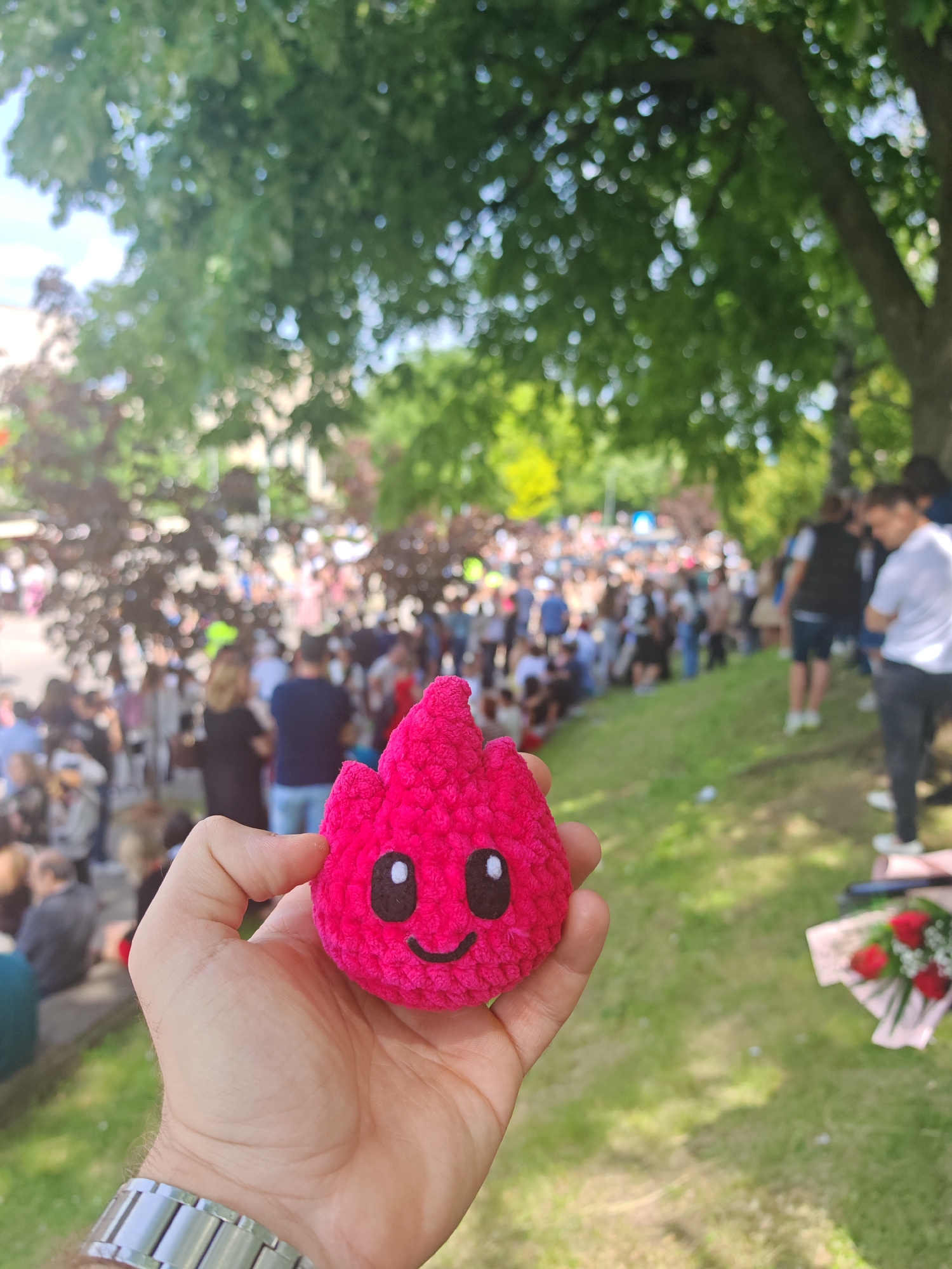 A person's hand holds a pink plush toy resembling a flame against a backdrop of a crowded park on a sunny day. The hand, with a silver wristwatch, is in the foreground, holding the plush toy, which has embroidered eyes and a smiling mouth. The background reveals a large crowd of people gathered in what appears to be a park, with lush green grass and trees providing shade. A bouquet of roses wrapped in pink paper is visible to the right of the hand. The park setting and the large crowd suggest an event or gathering of some kind. The photo appears to be taken in a city, identified as Shumen, Bulgaria.
