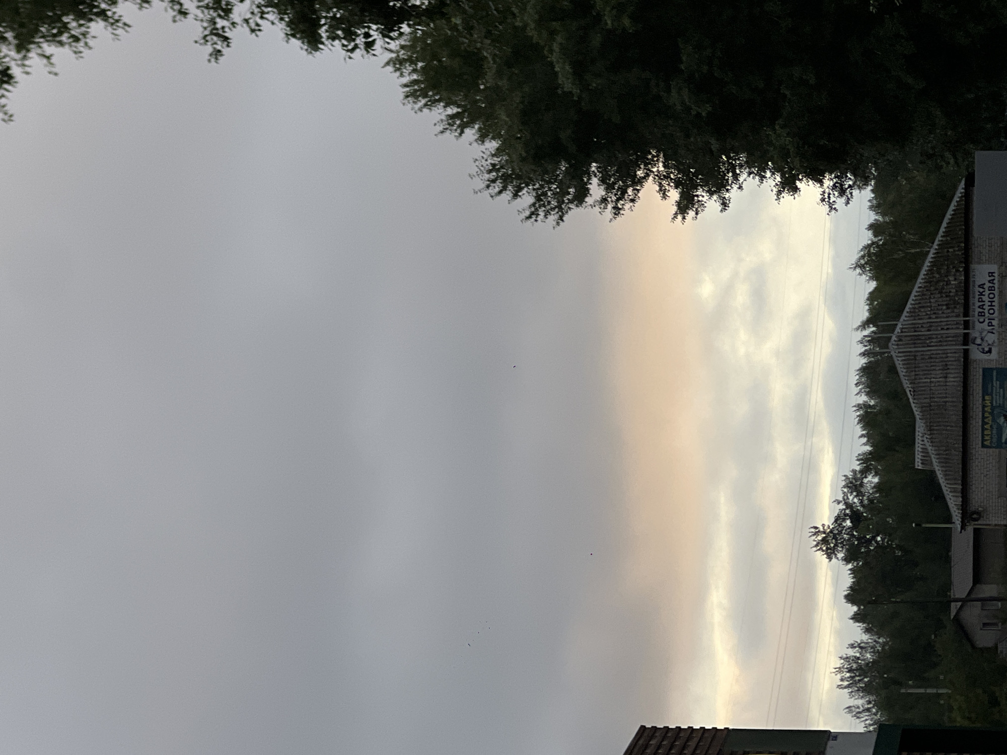 The image depicts an overcast sky with hints of soft, peachy light breaking through the clouds near the horizon. In the foreground, the dark, dense foliage of a large tree dominates the right side of the frame. To the left, a portion of a building with a brick facade is visible. Further into the background, a line of trees forms a distant treeline, and several low-lying structures with corrugated roofs are present. Power lines stretch across the middle ground. A sign on one of the buildings reads "СВАРКА АРГОНОВАЯ," indicating an argon welding service. The overall scene suggests an outdoor setting on the outskirts of a town or city. The location is the city of Ulyanovsk, Russia.