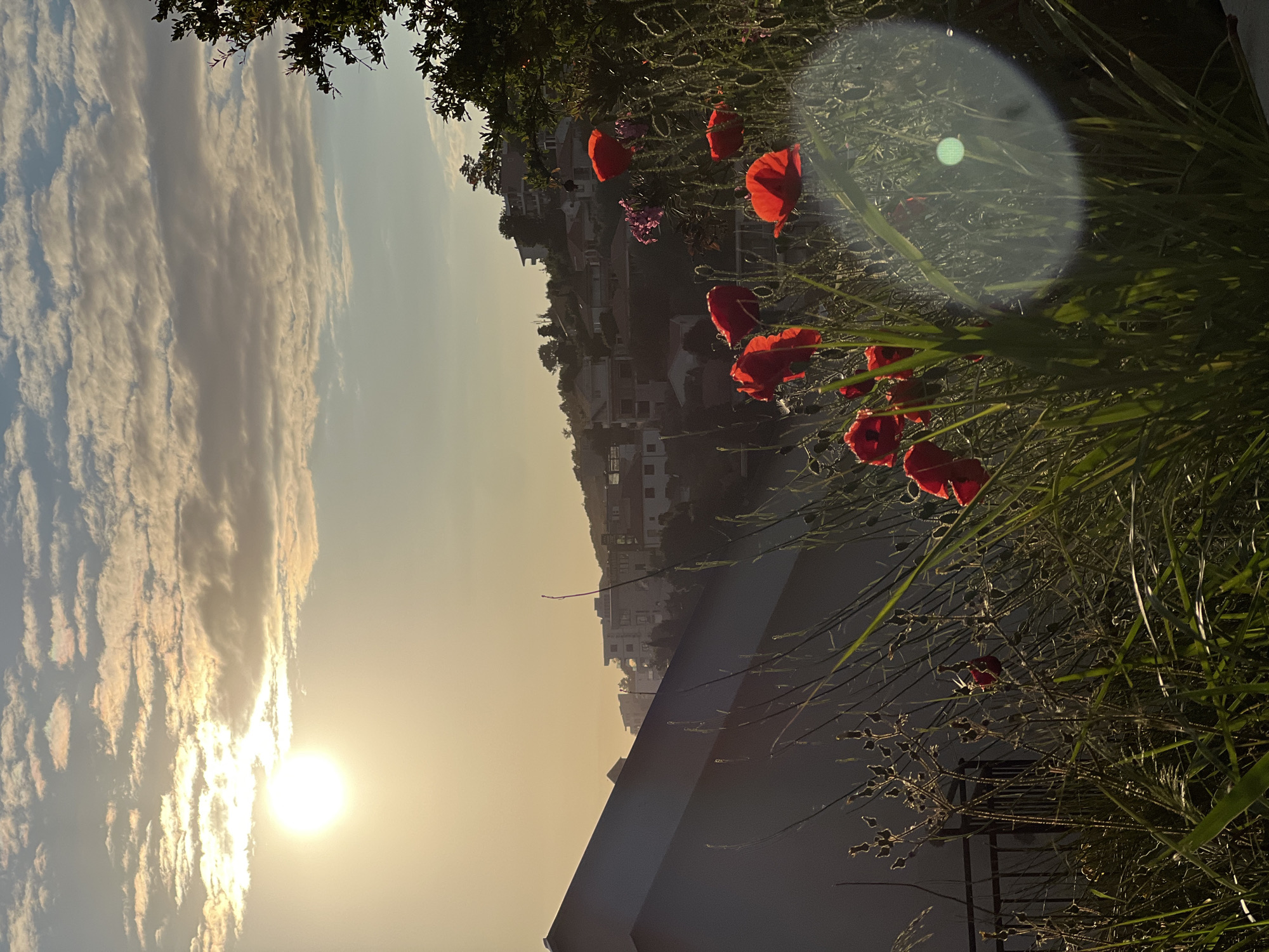 The image presents a view from Ulcinj - Ulqin, Montenegro, likely taken during sunrise or sunset. In the foreground, there are red poppies and green vegetation. Behind this is a row of buildings, typical of the area's architecture. The sky is dominated by clouds and the sun, creating a bright glow. The image has a lens flare, likely due to the sun's position. A part of a building is visible at the bottom.