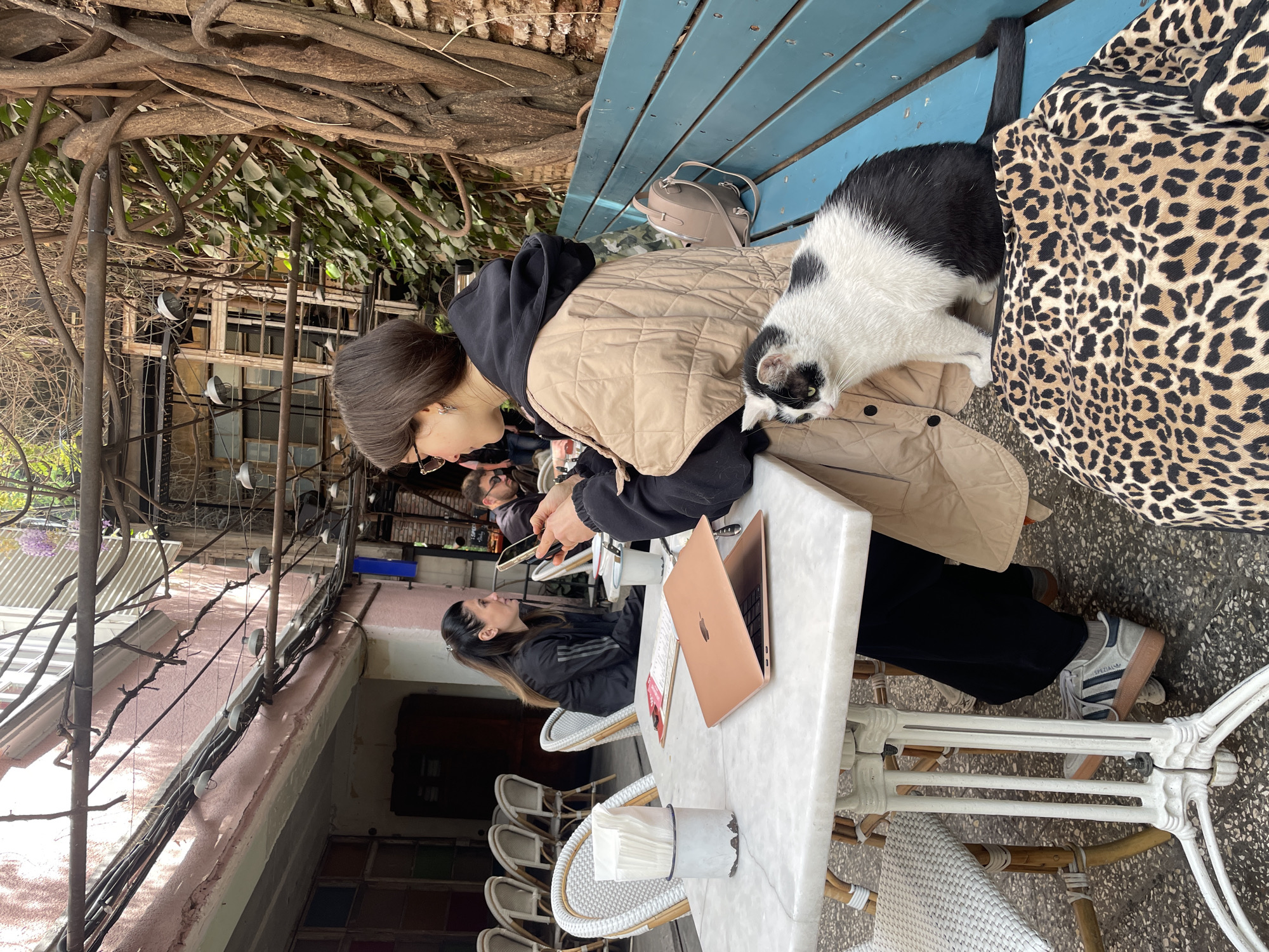 A woman sits at an outdoor cafe table, interacting with a smartphone. On the bench behind her, a black and white cat sits next to a leopard-print bag. A laptop rests on the table next to a small vase of tissues. Another woman sits at the table. The location appears to be in Tbilisi, Georgia. The scene is outdoors, with wrought iron and vine-covered structures visible.