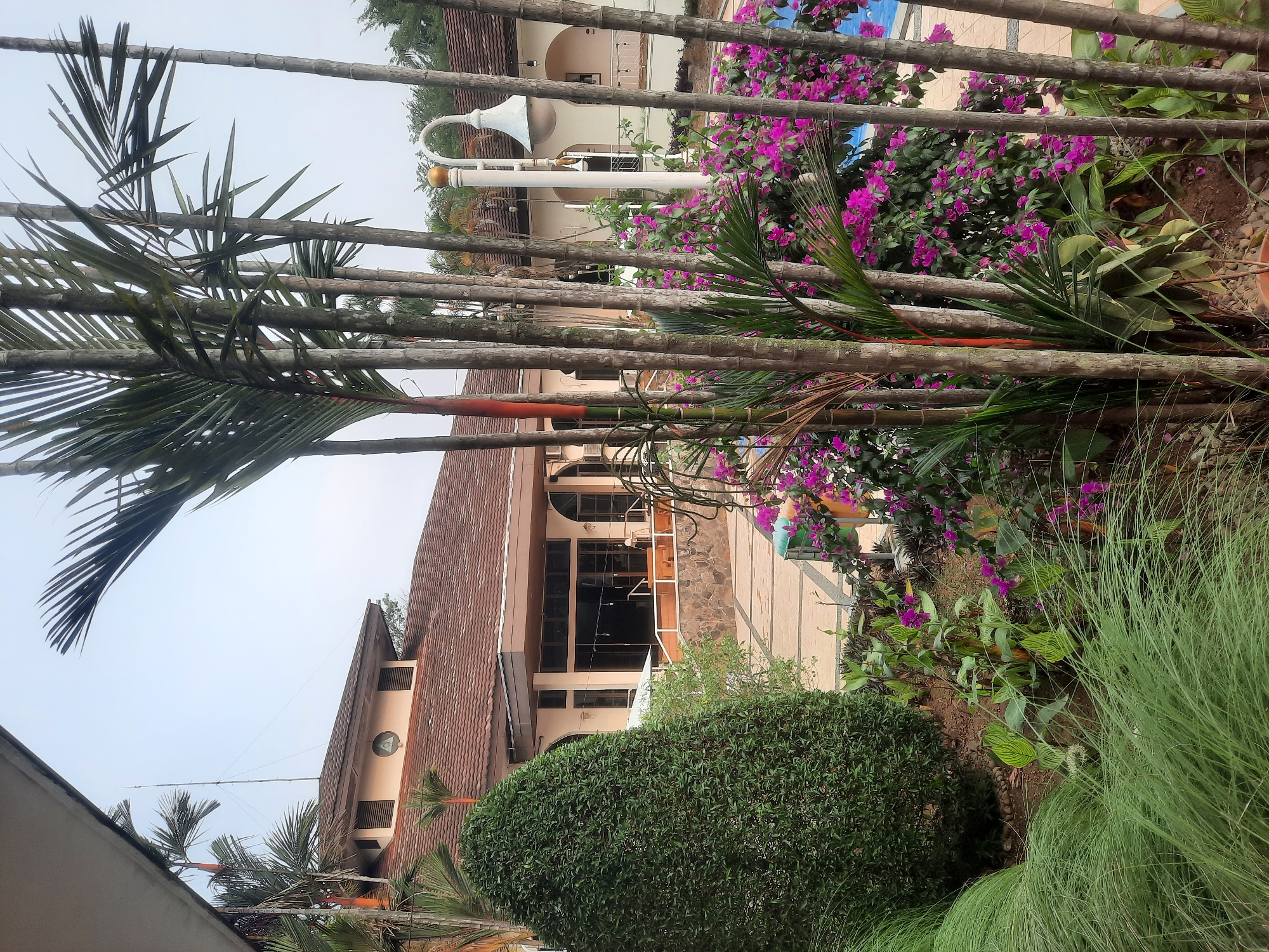 A resort or a residential building with a tiled roof and beige walls is visible in the background, featuring arched windows and a porch area. In the foreground, a dense green bush is on the left, with tall, thin palm trees and lush pink bougainvillea flowers in front of the building. The ground is paved with square tiles. A street lamp with a white ornate pole and a cone-shaped light fixture is present near the flowers. The sky is overcast. The image appears to be taken during the daytime.