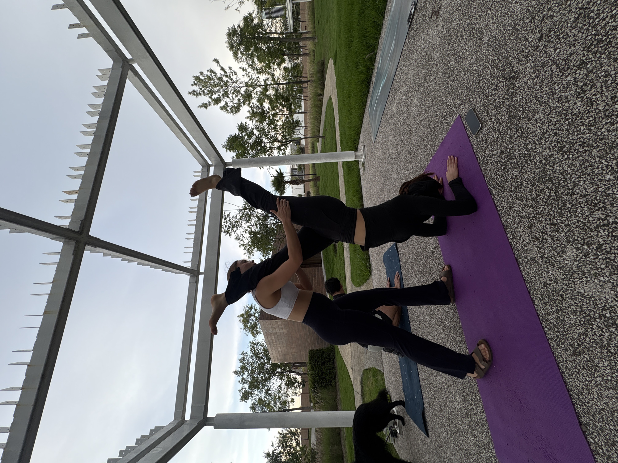 In the city of San Bernardino Tlaxcalancingo, Mexico, two women are practicing yoga outdoors under a white, open-air pergola structure. The ground is paved with small, light-colored stones, and the area is surrounded by a well-maintained park with green grass and various trees. A black dog is visible in the background on the left. One woman, wearing a white sports bra and black leggings, is standing and assisting the other woman, who is in a handstand position on a purple yoga mat. The standing woman is supporting the handstander's leg. Another yoga mat, dark blue with a swirling pattern, is laid out nearby. The sky is overcast.