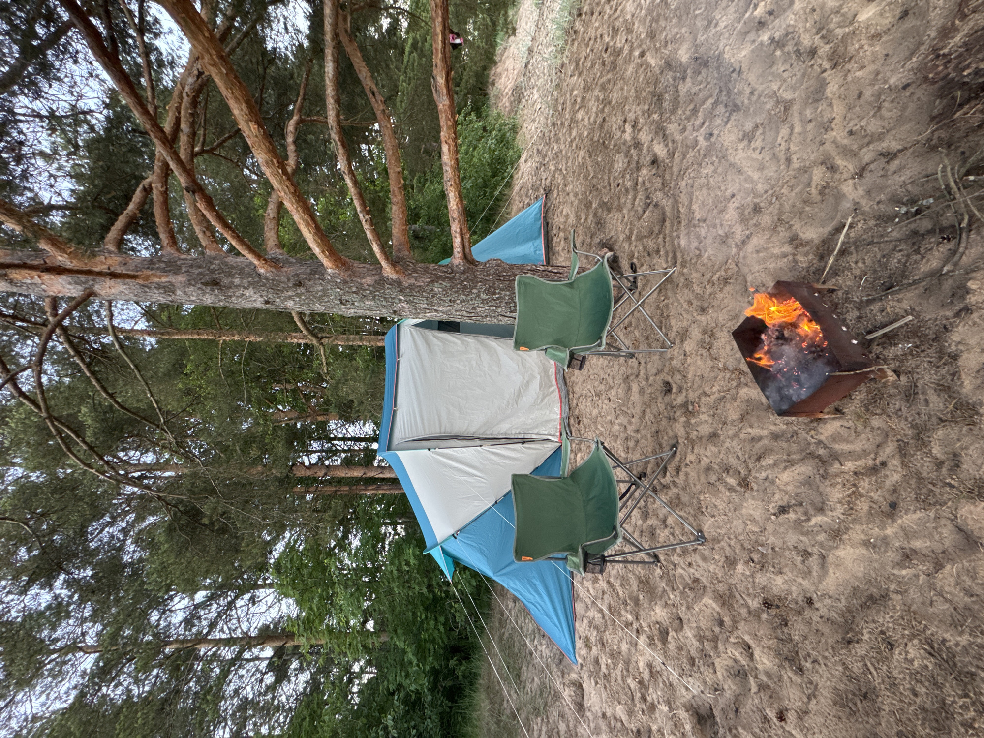 A campsite is set up on sandy ground in Zelenaya Roshcha, Russia, under a canopy of pine trees. A large blue and white tent is pitched in the background, with two green camping chairs positioned in front of it. A small, metal fire pit with a bright orange flame burns in the foreground, emitting a wispy trail of smoke. The ground is covered in sand, scattered with dried pine needles and a few small pine cones. The trees, with their rough bark and numerous branches, frame the scene. The sky above is overcast.