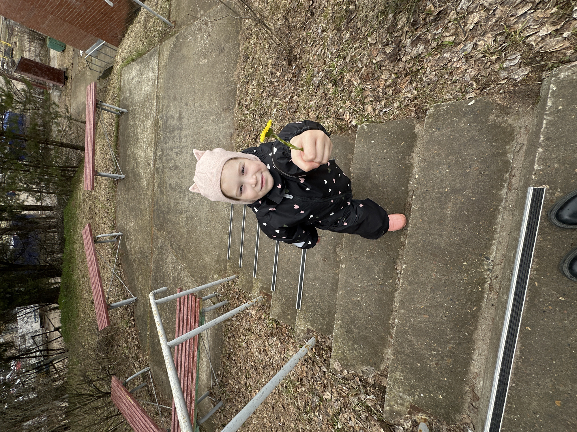 A young child wearing a pink cat-eared hat and a black snowsuit with small white hearts is standing on a concrete stairway. The child is holding a single yellow flower and smiling towards the camera. The stairway has metal railings along the side, with park benches placed on a grassy area alongside the stairs. Dried leaves and debris cover the ground. The stairs have anti-slip strips. Part of a brick building is visible in the upper left corner. To the right, the feet of a person, with black shoes, are visible. This scene takes place on a staircase in the city of Chaikovsky, Russia.