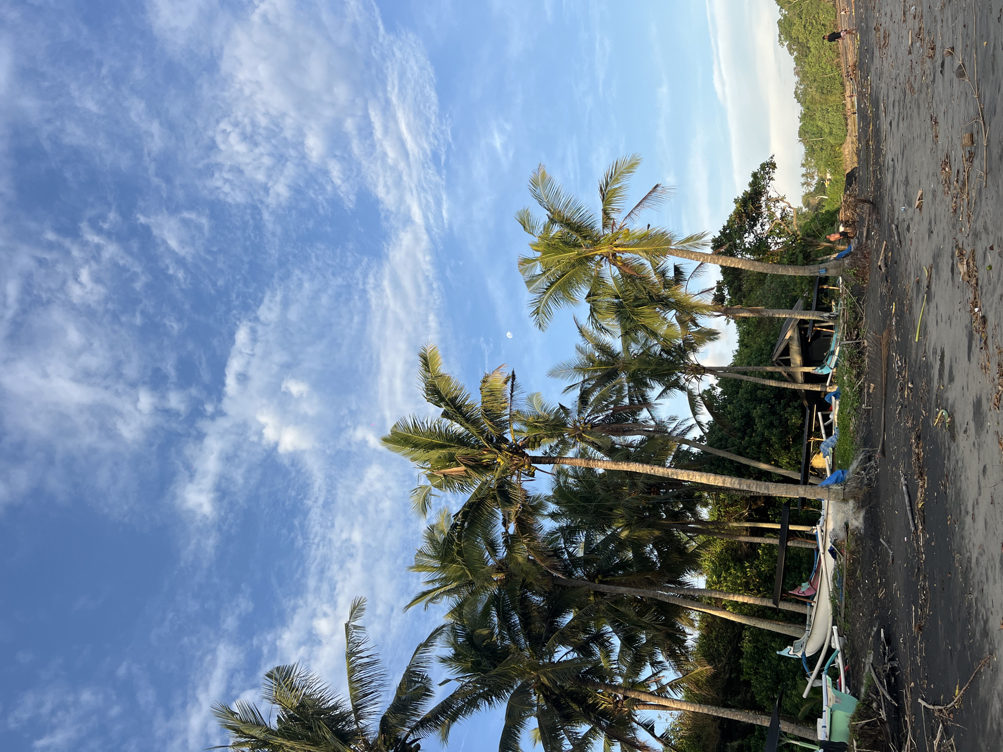 This image, oriented vertically, captures a serene yet somewhat rugged tropical beach scene in Selemadeg, Indonesia. The dominant feature is a clear blue sky, showing a gradient from a lighter hue near the horizon to a deeper blue overhead, adorned with delicate, wispy white clouds that streak across the expanse. A distinct crescent moon is visible in the upper mid-left sky, suggesting either early morning or late afternoon.
Numerous tall palm trees, laden with coconuts, frame the left and lower portions of the image, their fronds silhouetted against the bright sky, catching the sunlight. Their trunks extend upwards, disappearing beyond the frame. Behind these palms and along the edge of the beach is a dense line of lush green tropical vegetation, including other trees and foliage, indicating a jungle or forested area.
The ground consists of dark, possibly volcanic sand or ash, characteristic of some Indonesian beaches. This dark sand is strewn with natural debris such as branches, logs, and leaves, along with some man-made detritus like plastic, giving the beach a natural, untamed appearance. Several small, narrow boats, resembling traditional fishing canoes or jukung, are visible on the sand near the palm trees and vegetation line; one is distinctly white and blue.
Two individuals are present on the beach. One person, wearing dark clothing, stands in the mid-distance on the dark sand, near the jungle's edge. Another person, dressed in lighter clothing with some blue, is partially obscured closer to one of the boats, appearing to be sitting or kneeling. No specific activities are clearly discernible, suggesting a moment of quiet presence on the beach. The overall lighting indicates a sunny day with the sun at a low angle. There is no visible text in the image.