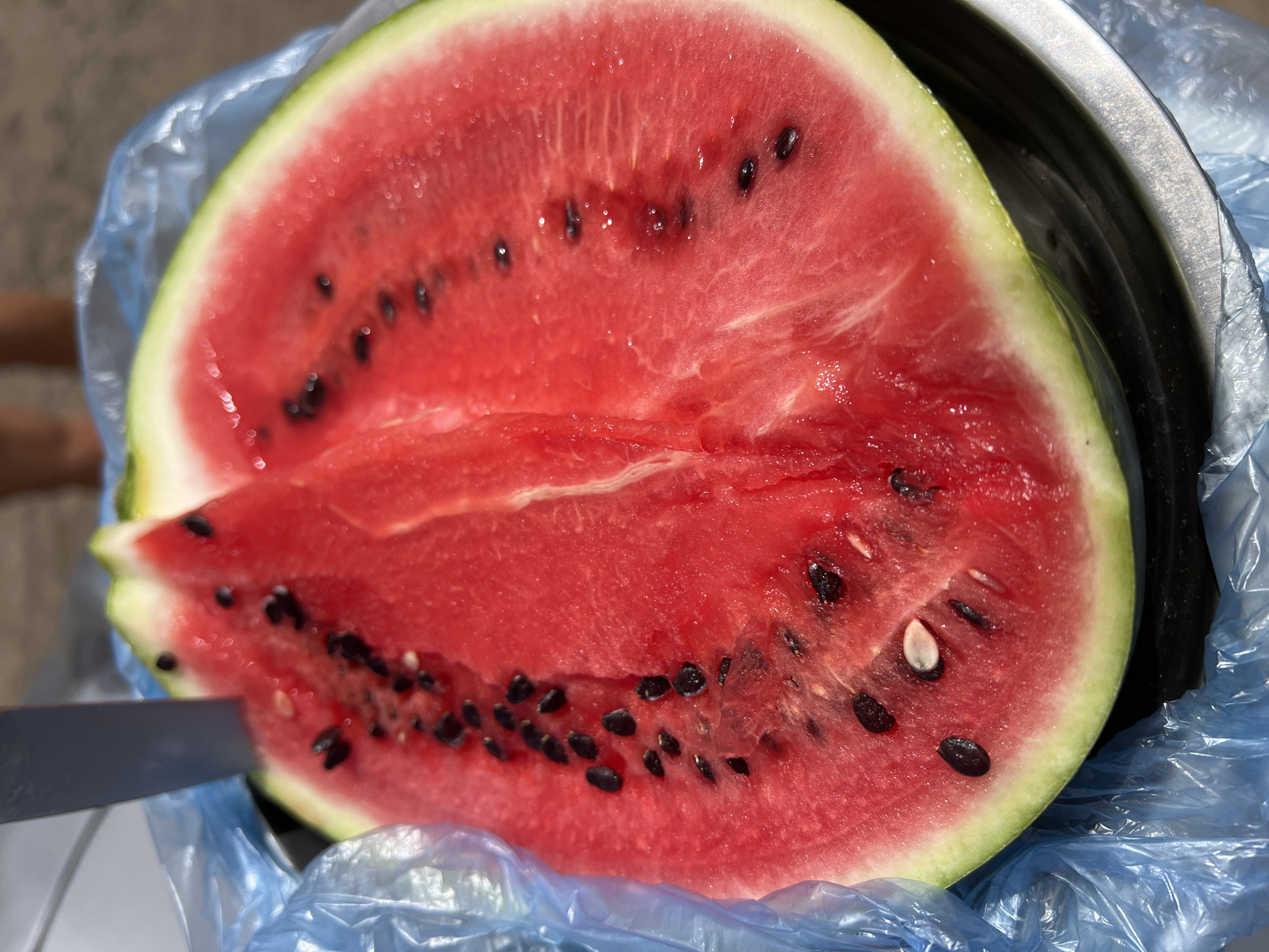 A close-up shot captures a freshly cut half of a watermelon, its vibrant red flesh speckled with black seeds, resting in a silver bowl. A portion of a knife is visible, protruding from the left side of the watermelon, indicating it has been recently cut. The watermelon is partially enclosed in a crinkled blue plastic bag, suggesting it might be prepared for transport or storage. In the background, out of focus, a person's legs are visible, implying a casual outdoor setting, possibly a picnic or a day at the beach. The ground appears sandy or dusty, and the overall lighting suggests it's daytime. The image does not provide specific details about the location within Alexandrovka, Russia.