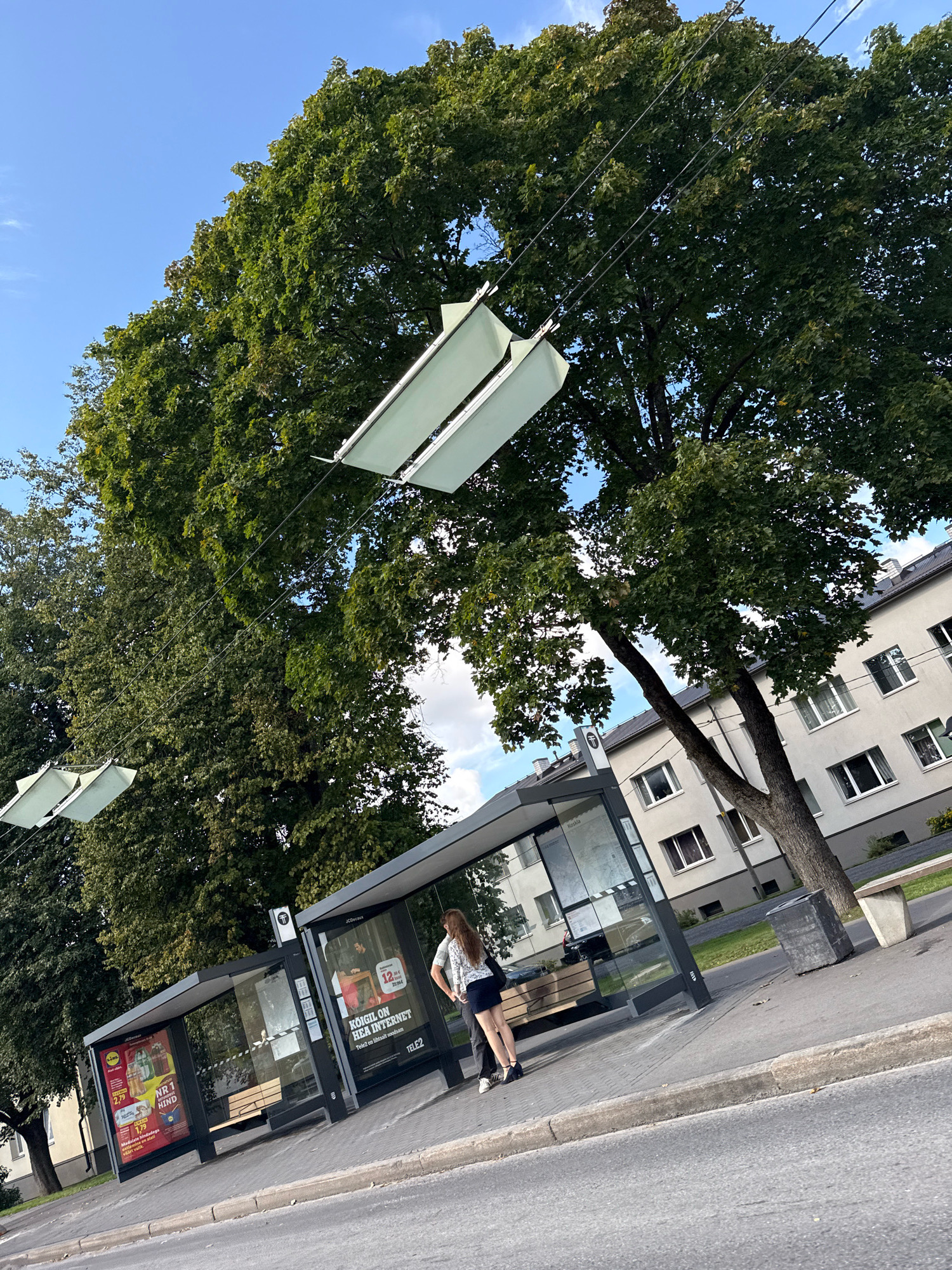 An exterior, eye-level, medium shot captures a bus stop in Tallinn, Estonia, on a clear, sunny day. A woman with long, brown hair, wearing a white and black patterned top and a dark skirt, stands facing away from the camera at the bus stop. She is looking towards the left of the frame. The bus stop features a glass enclosure with advertisements on display. The scene is bordered by large trees with dense green foliage and a modern apartment building with multiple windows. Overhead, what appear to be light fixtures or canopies are suspended from wires against the blue sky. The pavement is visible, with a curb separating it from a road. The overall scene depicts a typical urban streetscape in Tallinn.
