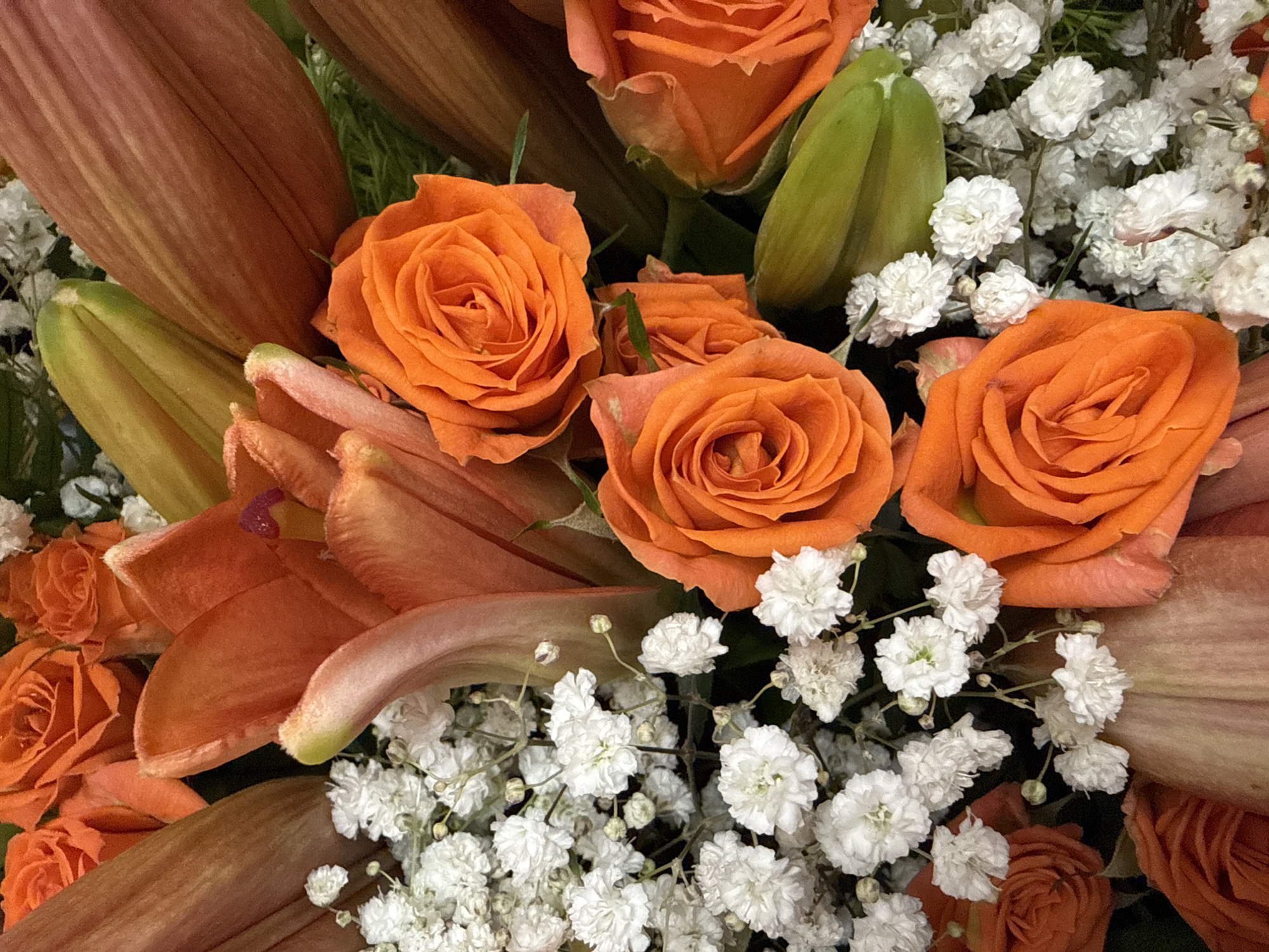 This is a close-up, overhead shot of a vibrant bouquet of flowers. The primary subjects are orange roses and orange lily buds, interspersed with delicate white baby's breath. The petals of the roses are a rich, saturated orange, with visible texture and depth. The lily buds are a lighter, more muted orange with hints of green at their tips. The white baby's breath provides a soft, airy contrast to the bolder colors of the roses and lilies. The background is dark, further emphasizing the brilliance of the flowers. The lighting is even, creating no harsh shadows and allowing the colors to be the main focus. There is no indication of a specific location within the city of Cariño, Spain, as the image is a tight crop of the floral arrangement.