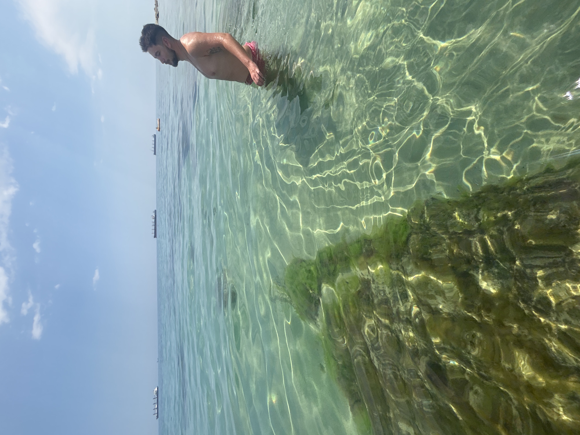 An unidentifiable adult male stands waist-deep in the clear, shallow waters of the Black Sea at Varna, Bulgaria. The man is facing to the right, with his head tilted back and eyes closed, appearing to enjoy the sun and water. His torso is bare, and he wears pink swimming trunks. The water's surface is calm, with sunlight creating shimmering patterns on the sandy bottom. In the distance, several cargo ships are visible on the horizon under a clear blue sky with scattered white clouds. The foreshore in the foreground is characterized by a submerged rock formation covered in green algae. The scene captures a tranquil moment of relaxation by the sea.