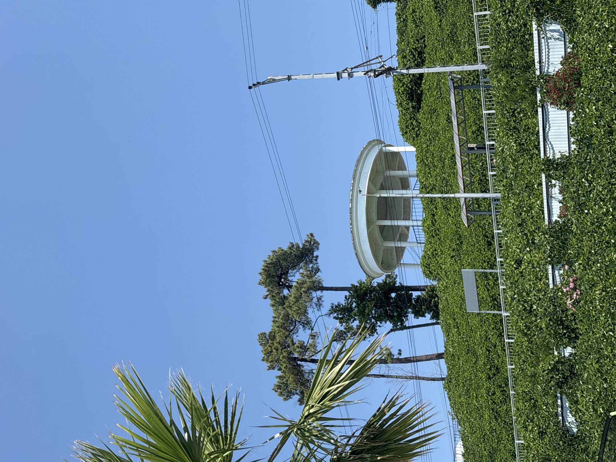 The image depicts a panoramic view of a lush green hillside under a clear blue sky, likely taken in Sochi, Russia, given the presence of subtropical vegetation and architectural styles.
In the foreground, the fronds of a palm tree are visible on the left, reaching into the frame. A white, circular, open-air pavilion with a flat roof and supporting columns sits atop the hill, its white structure contrasting with the verdant surroundings. Several tall pine trees are scattered across the hillside, some leaning slightly.
A dense carpet of green, leafy vegetation covers the entire hillside, obscuring much of the ground. A white metal railing runs horizontally across the middle of the frame, demarcating an area along the hillside. Behind the railing, a small, covered bus stop or waiting area with a transparent roof is visible. A gray rectangular sign stands on the left side of the railing.
Power lines and utility poles traverse the upper portion of the image, indicating the presence of infrastructure. The overall scene suggests a sunny day in a location with a mild climate, possibly a park or a scenic overlook. There are no people or animals visible in the image. The presence of the pavilion and the bus stop suggests it is a public space.