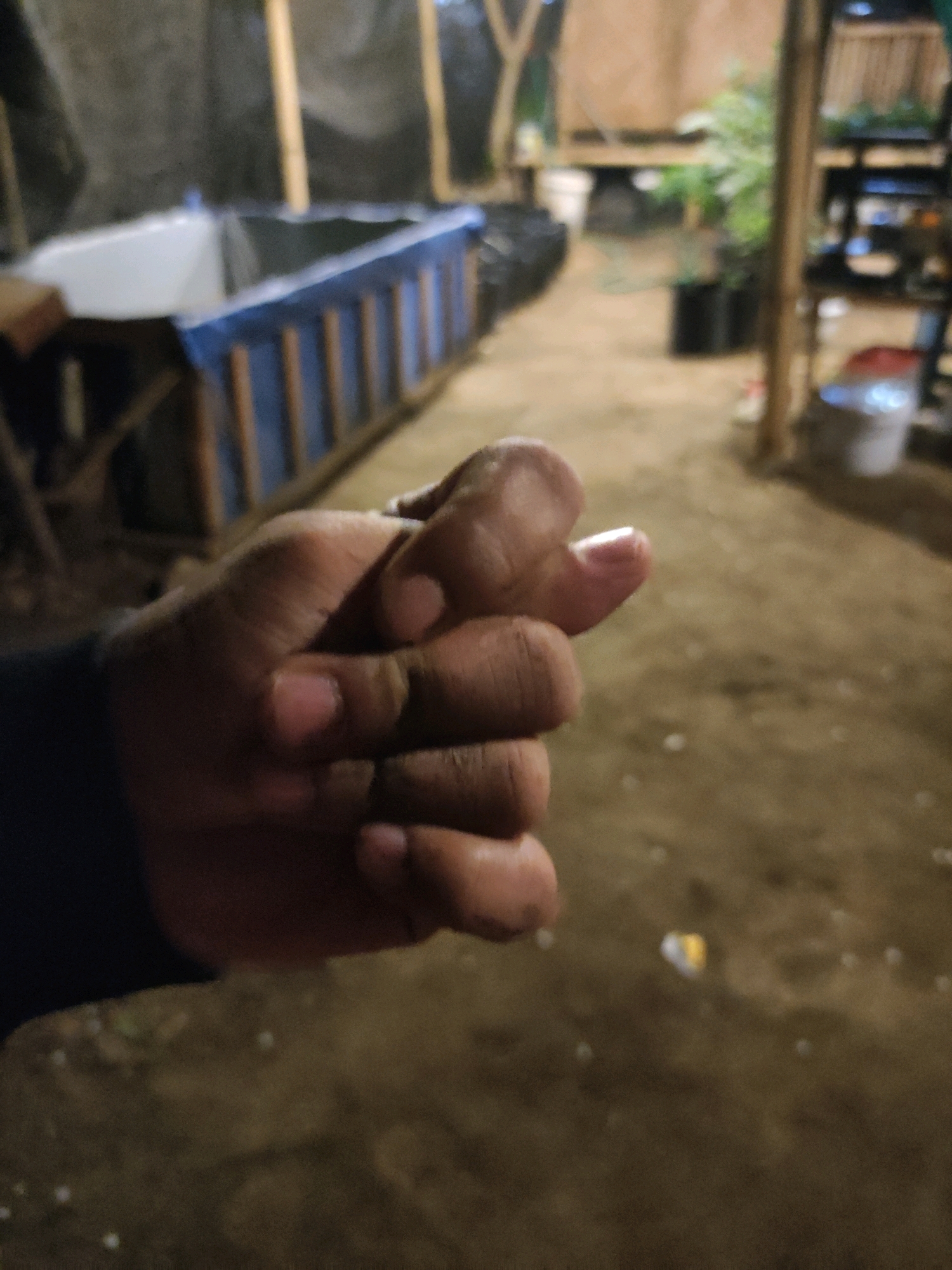 In Tiudan, Indonesia, a close-up shot focuses on a person's hand forming a fist, with the thumb extended. The hand appears to be covered in dirt, suggesting it may have been used for manual labor or an outdoor activity. The background is out of focus but shows an outdoor environment, possibly a yard or a workshop, with some visible structures including what appears to be a large blue container, bamboo poles, and shelves with items on them. The lighting suggests it is either dusk or nighttime.