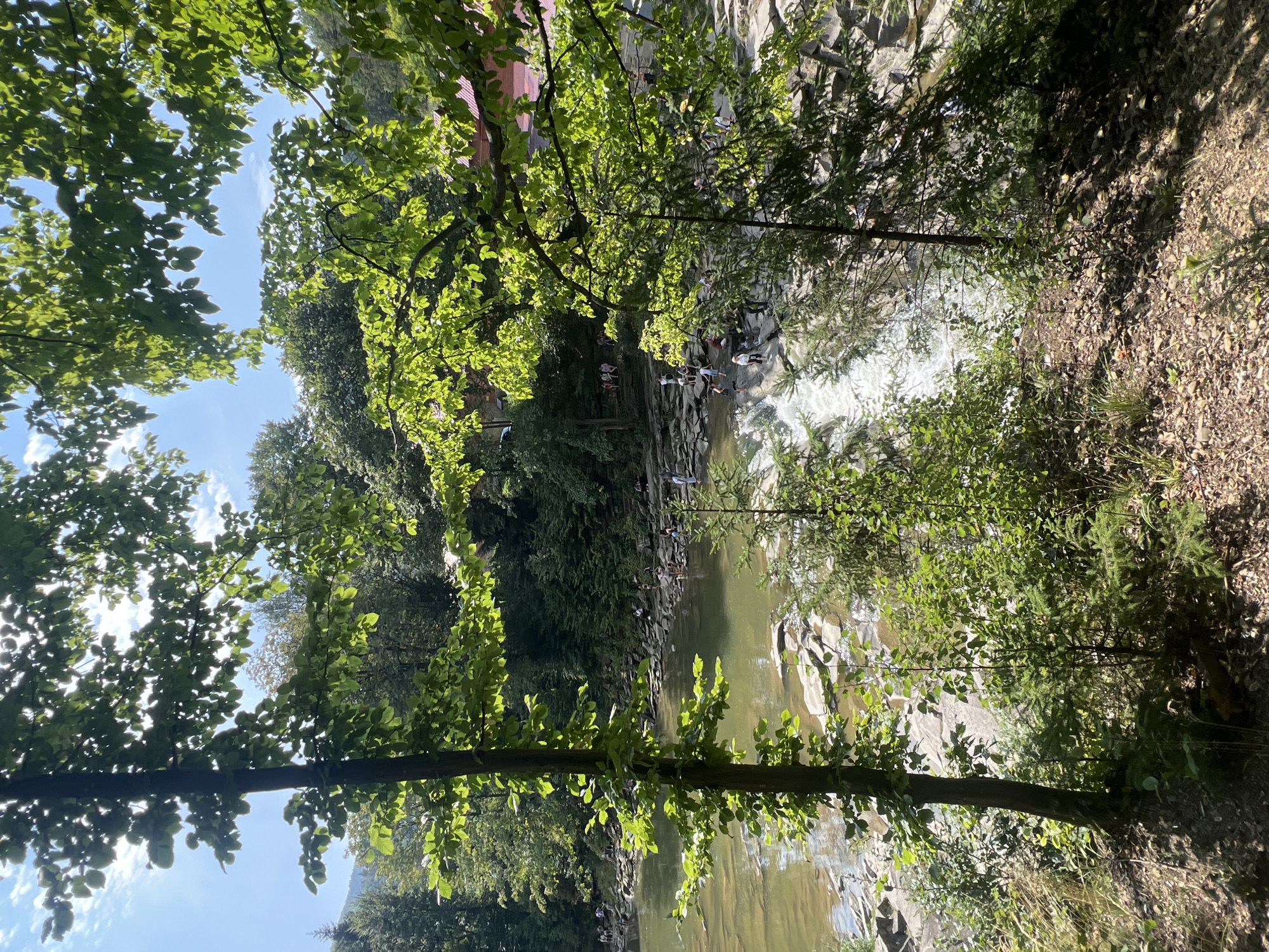 The image depicts a natural scene in Yaremche, Ukraine, featuring the Prut River. The river flows over rocks, creating a gentle waterfall in the mid-ground. On the riverbanks, many people are visible, some wading in the water and others standing or sitting on the rocks. Lush green trees and foliage frame the scene, with sunlight filtering through the leaves. The vegetation suggests a warm, sunny day. In the background, a building with a red roof is partially visible amidst the trees. The overall impression is that of a popular outdoor recreation area.