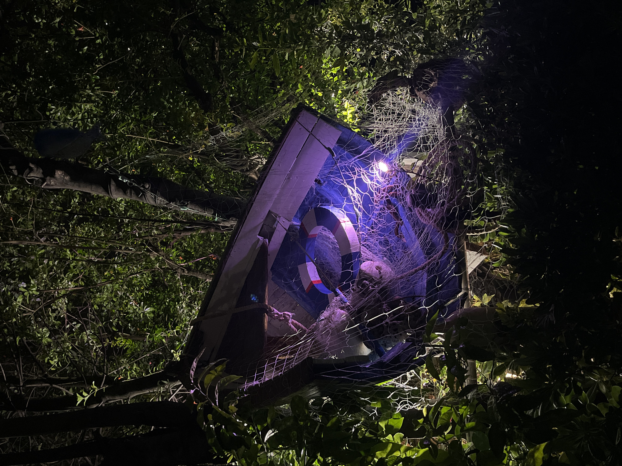 The image shows a dark, nighttime scene with a structure built into a tree, possibly in Budva, Montenegro, though this cannot be confirmed from the image alone. The structure appears to be a small wooden house, possibly a treehouse, decorated with nautical elements. A blue and white life preserver hangs inside. A fishing net is draped over the exterior. The structure is illuminated with a bluish-purple light source, which casts light upward into the surrounding tree foliage. The surrounding vegetation includes leafy green plants and tree branches, obscuring a full view of the structure. The overall scene suggests a whimsical, possibly decorative installation rather than a functional residence.
