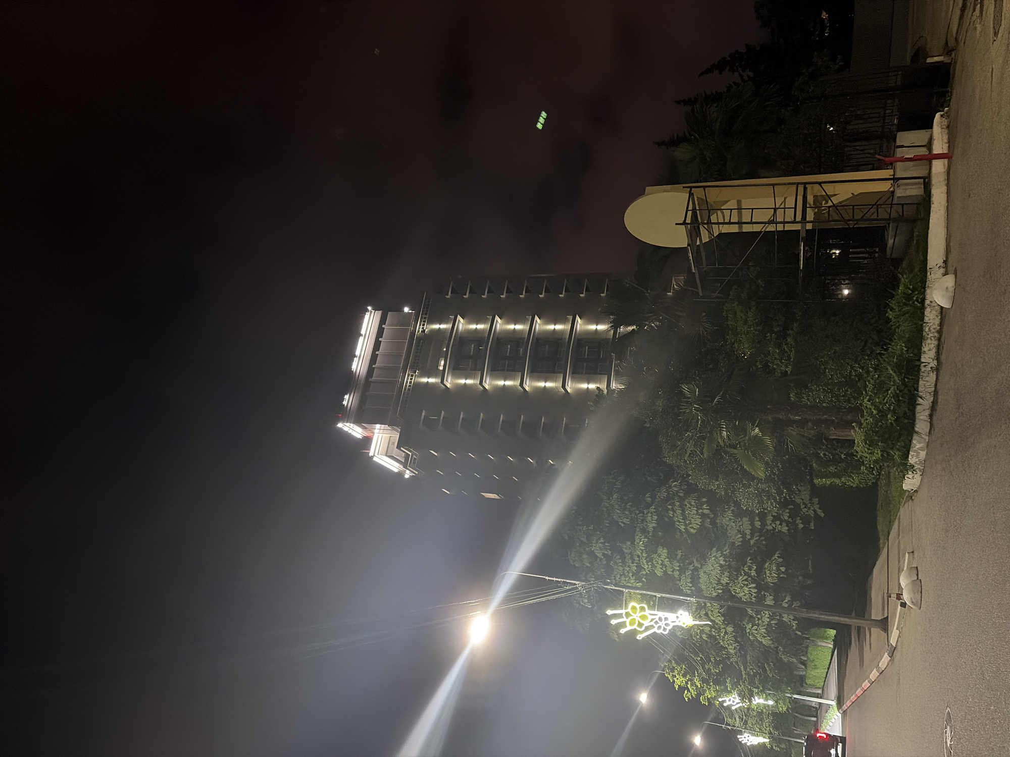 The image depicts a nighttime scene in Sochi, Russia. A tall, modern building with illuminated windows and roofline dominates the background. In the foreground, a street is visible, with a lamppost emitting a strong light that creates a glare across the image. Decorative, illuminated flower-like fixtures are also present along the street. Dense foliage, including trees and palm trees, surrounds the building and lines the street, creating a lush, green environment. A construction scaffold is erected next to a large, curved structure with a pale yellow surface. The sky is dark, with some faint clouds and distant lights visible. A portion of a dark-colored vehicle can be seen on the left side of the road. The overall impression is one of an urban landscape at night, with architectural elements and natural vegetation coexisting.