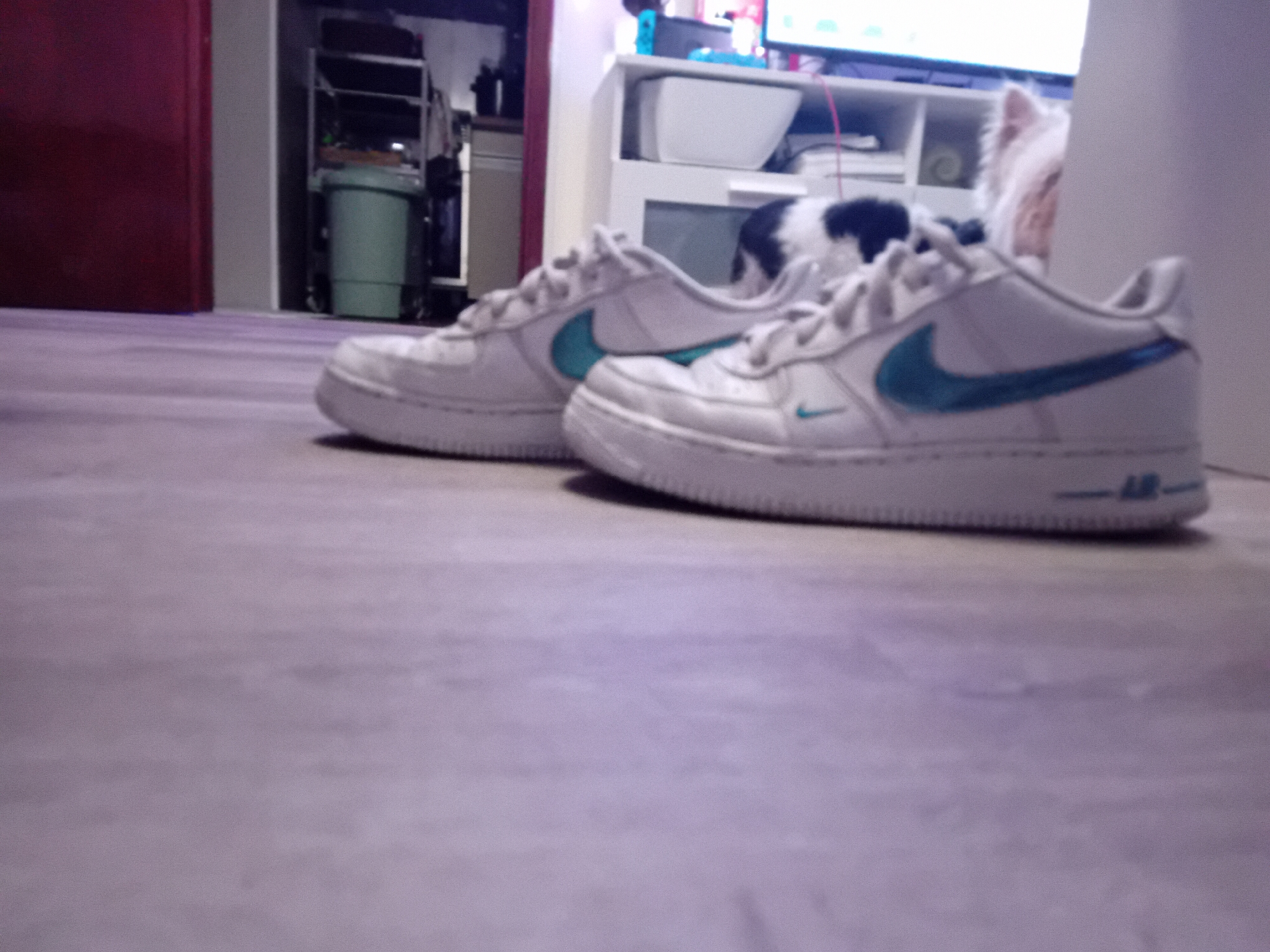 The image shows a pair of white Nike Air Force 1 sneakers with turquoise swooshes on a light-colored wooden floor. The sneakers are positioned closely together, with the right shoe slightly in front of the left. In the background, there is a red door on the left and a white shelving unit with items on it, including a television, a box, and a roll of paper. There is a green waste bin in the left background. A dog can be seen behind the shoes. The location is Unknown, Unknown.