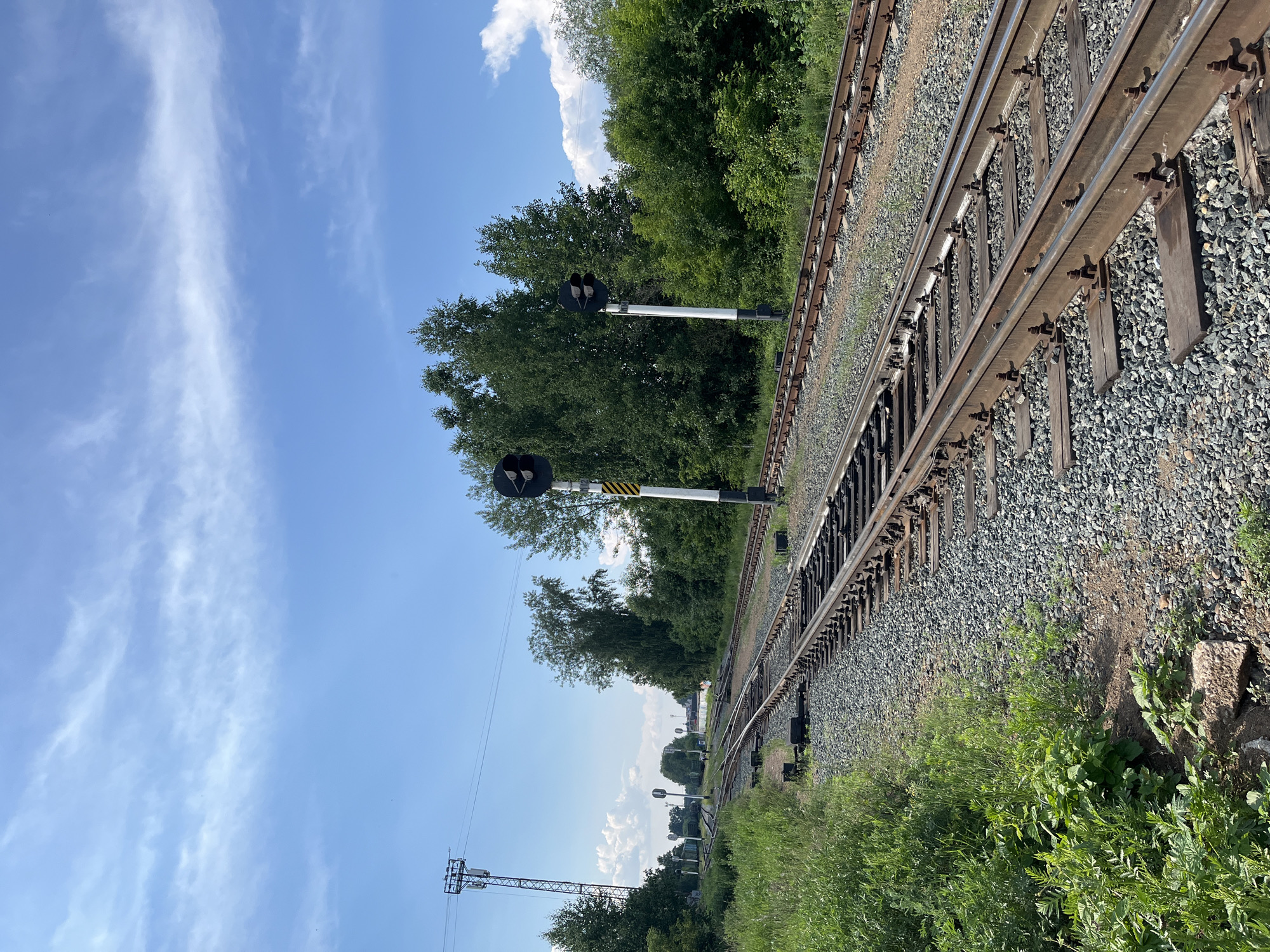 The image depicts a railway junction under a clear blue sky with sparse white clouds. Several sets of railway tracks converge and diverge, surrounded by lush green vegetation and trees. In the foreground, a set of tracks runs diagonally from bottom right to the upper left. To the left of these tracks, tall grass and plants grow wild. On the right side, another set of tracks runs parallel to the foreground tracks, further into the distance.
Two railway signals, each with black discs, are visible. The signal on the right is closer and has a white pole with black and yellow striped bands near the top. The signal on the left is further away and appears similar. In the background, more trees and vegetation line the sides of the tracks, with a few structures and what appear to be train cars visible further down the line. A tall communication tower with wires extending from it stands on the left side of the image, near the horizon. The overall scene suggests a rural or semi-rural railway environment. The image is taken from a ground-level perspective, looking along the direction of the tracks. No people are present in the image.