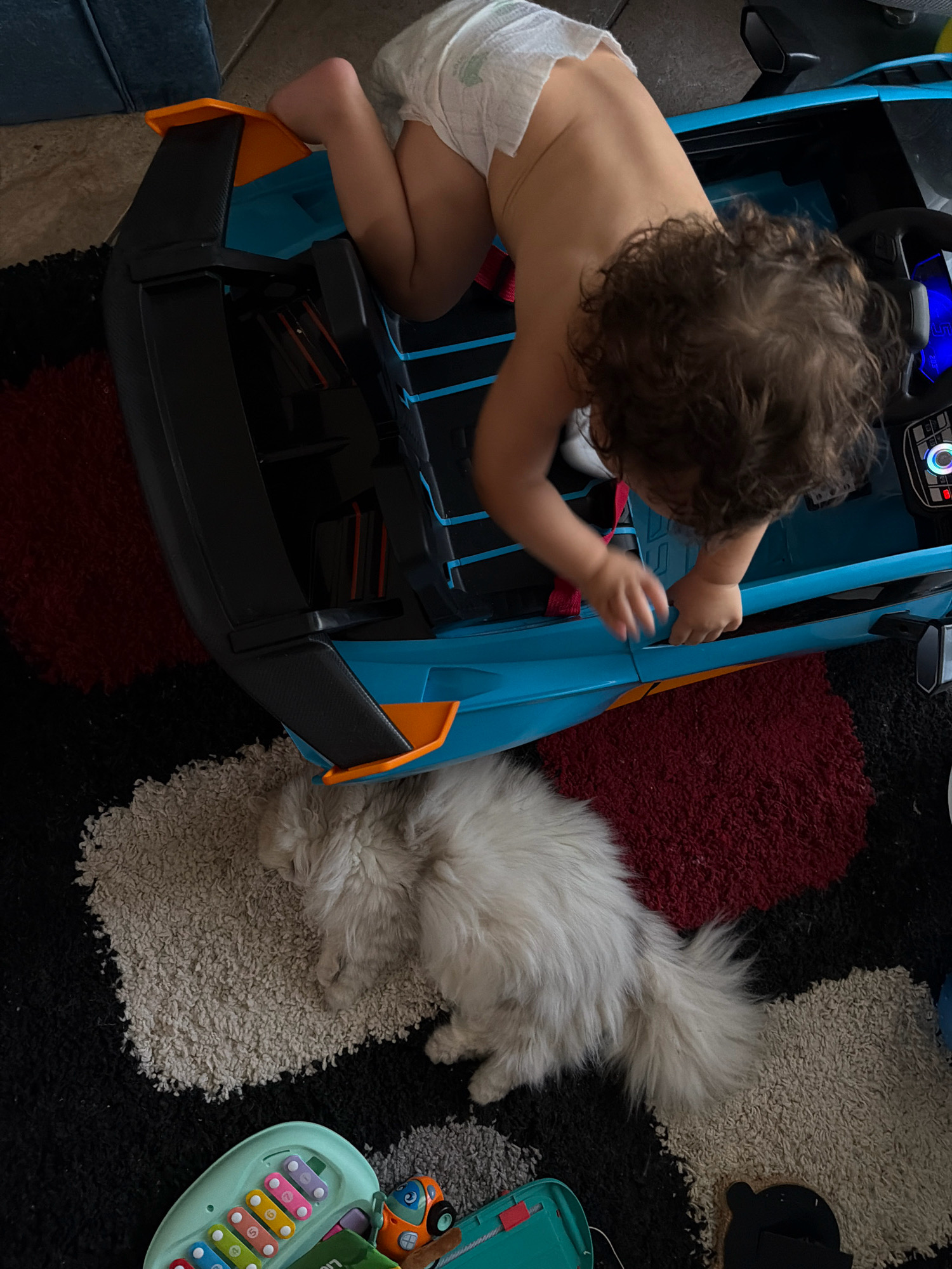 A high-angle shot captures a baby in a diaper inside a blue and orange toy car, positioned on a patterned rug. The baby's back is to the camera, and their head is turned down, with curly brown hair visible. One hand is reaching towards the interior of the car. To the left of the car, a fluffy white cat is lying on the rug, facing away from the camera. In the lower left corner, a green toy xylophone with colorful keys is visible, along with a small orange toy car. The environment appears to be a domestic setting, likely a living room, with a glimpse of a blue upholstered piece of furniture in the upper left corner. The rug has sections of red, black, and cream coloring. No specific location in Sharm El Sheikh, Egypt can be determined from the image.