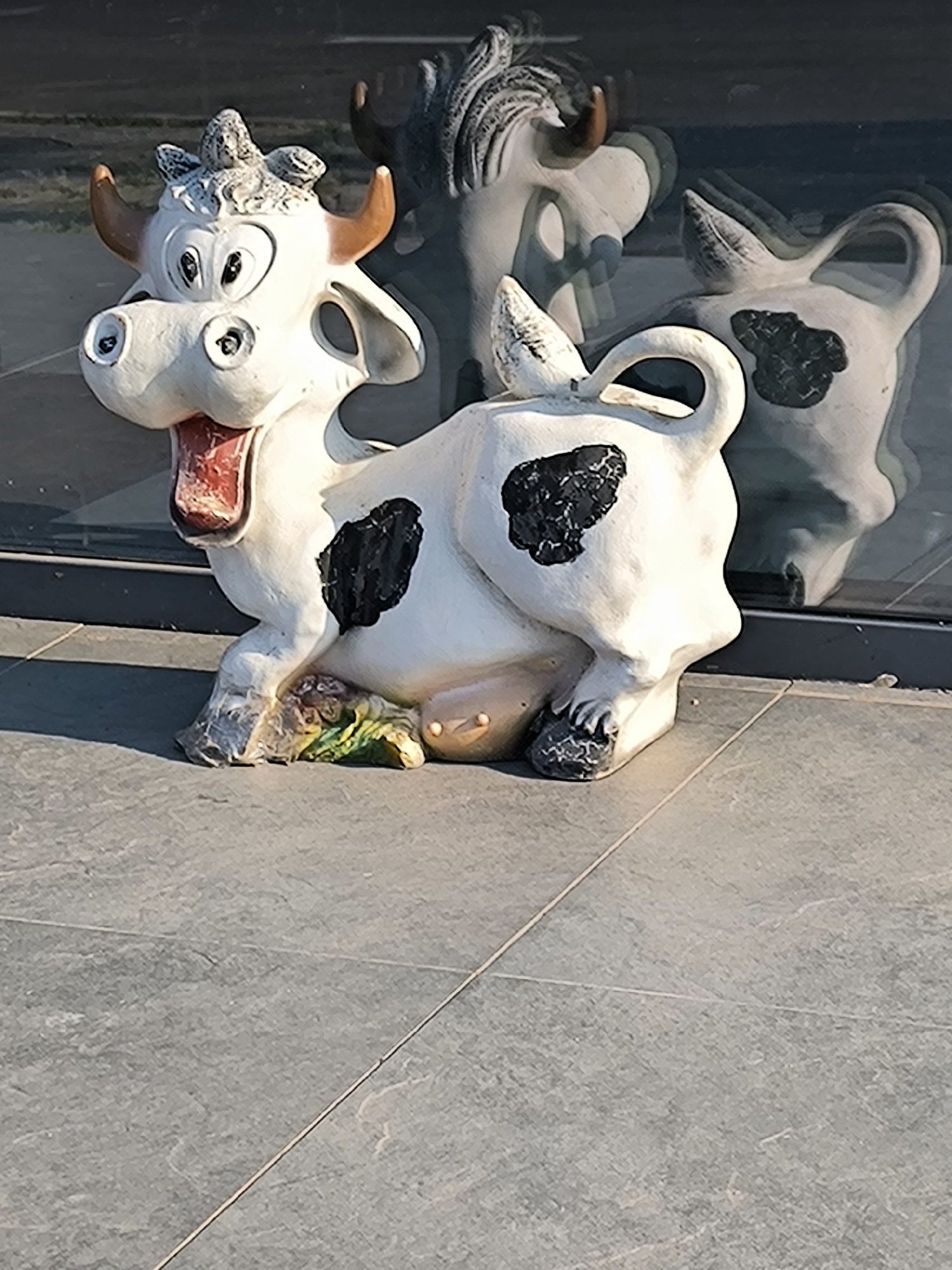 The image shows a statue of a cartoon cow on a tiled surface, possibly outside a building. The cow is white with black spots and has a red tongue sticking out of its mouth. It is depicted in a seated position with its legs tucked underneath. The statue is reflective, as evidenced by the partial reflection of another cow-like figure in the background. The tiled ground is gray with visible grout lines. The scene appears to be outdoors, with some greenery visible near the base of the cow. There is no indication of the specific location within Mykolaiv, Ukraine.