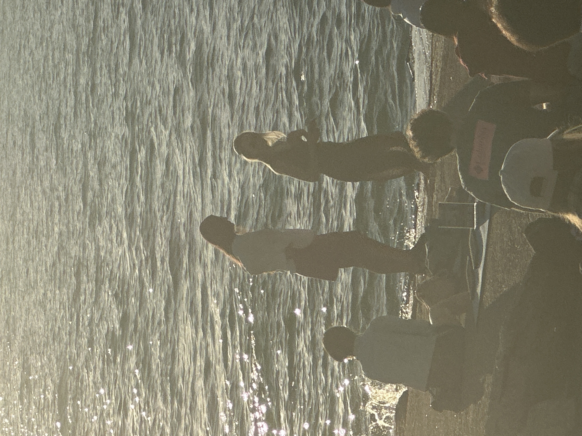 The image depicts a group of people on a concrete embankment by the sea, likely at a location in Odesa, Ukraine, given the context of previous images. The sun is low, casting a golden hue and creating shimmering reflections on the water. Two individuals are standing near the water's edge. One, seen from the side and slightly behind, is a woman with long hair, wearing a light-colored top and a darker skirt. She appears to be interacting with the person in front of her. The second standing figure is a woman with blonde hair, wearing a long, possibly patterned, dress. She is facing away from the camera and is looking out at the water.
In the foreground, several other individuals are seated or have their backs to the camera. One person is seated and facing the water, wearing a light-colored shirt. Another person, wearing a dark t-shirt with a visible pink logo, is also in the foreground, along with parts of other individuals. A laptop or similar flat object is visible on the ground between two of the seated figures. The sea is calm with small ripples, and sunlight is sparkling on its surface. The overall atmosphere suggests a relaxed gathering by the sea during sunset.