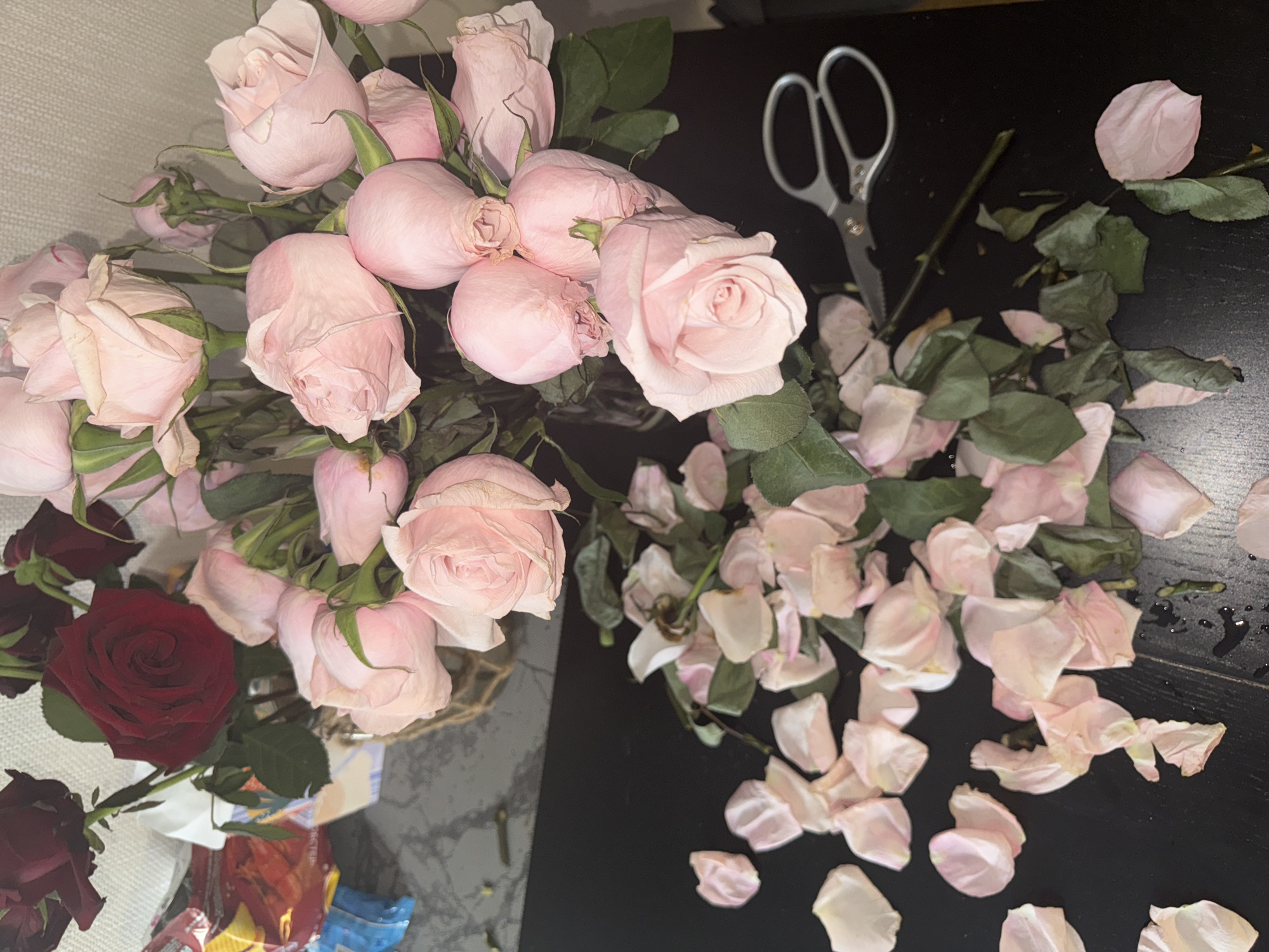 The image shows a bouquet of light pink roses and a few dark red roses in a vase on a black surface, possibly a table. Several pink rose petals are scattered on the surface, some appear wilted. A pair of silver scissors with serrated blades is also present on the black surface, positioned near the stems of some of the roses. The background is blurred, but appears to show a textured wall or surface and some packaging material on the left side. The lighting is dim, creating shadows and highlighting the textures of the flowers and petals. There is no indication of the city of Perm, Russia, or any people in the image.
