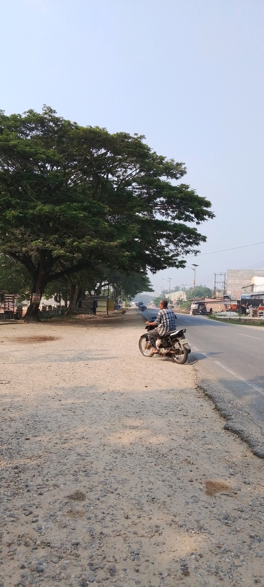 A man wearing a checkered shirt and dark pants rides a motorcycle on a gravel road beside a paved road. The motorcycle is facing away from the camera, with the man's left side visible. The paved road has a white line marking the edge and appears to be a highway with traffic in the distance. On the left side of the gravel road, a large tree with dense green foliage dominates the scene. Beyond the tree, several structures and more trees are visible. The sky is a clear, pale blue. The scene appears to be in a rural or semi-urban area.