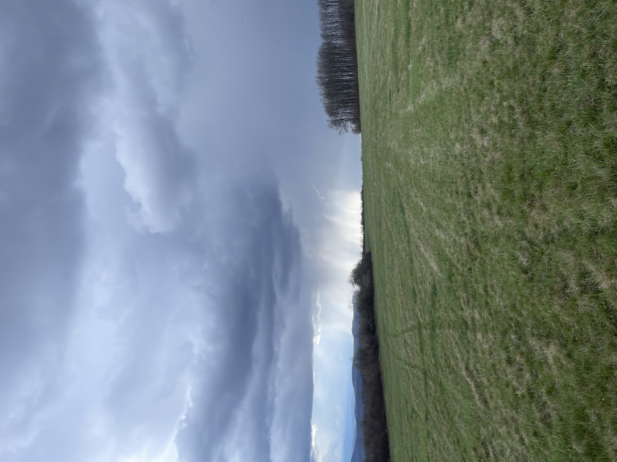 The image depicts a rural landscape near Bukovets, Bulgaria, under an overcast sky dominated by dark grey storm clouds. A significant portion of the sky, particularly on the left and center, shows distinct vertical shafts of bright precipitation illuminated by unseen light, indicating active rainfall. The horizon to the far left reveals distant, muted blue-grey hills or mountains. In the midground, a line of dormant deciduous trees and dense bushes forms a dark, irregular strip, extending from the left towards the center. To the far right, a denser cluster of bare deciduous trees stands prominently, reaching towards the top right corner. The foreground consists of an expansive, gently undulating green field covered in short grass, exhibiting variations in green and light brown hues. Faint, parallel linear indentations, suggestive of agricultural vehicle tracks, are visible across the field's surface. No individuals or man-made structures are present within the scene.
