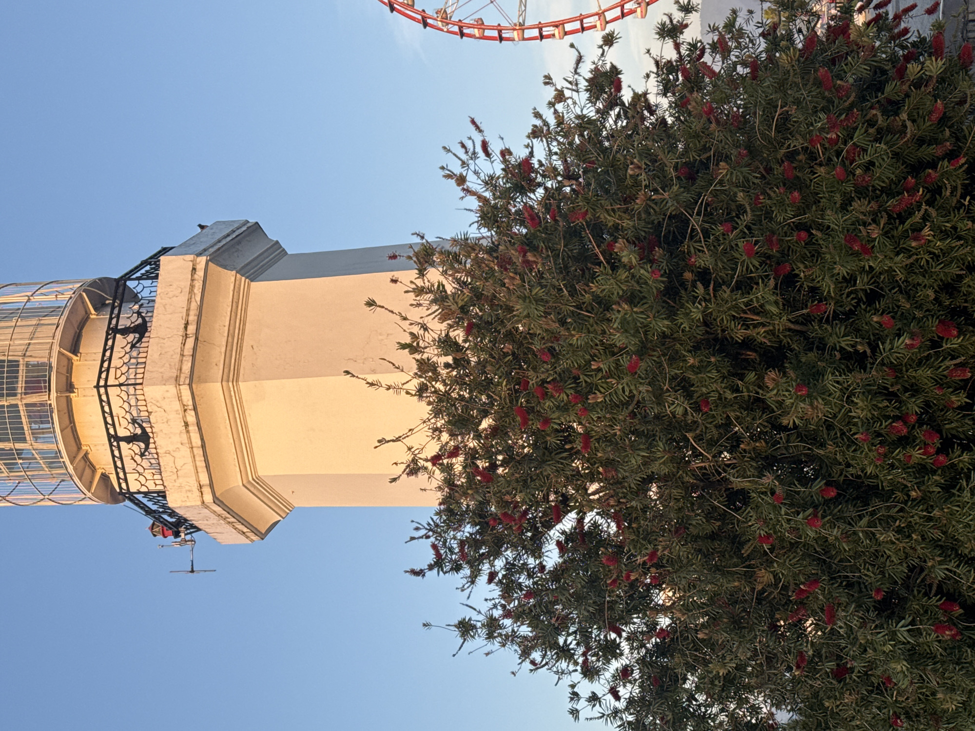 The image features a tall, white lighthouse-like structure with a cylindrical glass top, next to a large green bush with small red flowers. The sky above is clear and blue. The perspective is from below, looking upwards. A red Ferris wheel is visible at the top of the frame, in the upper background.