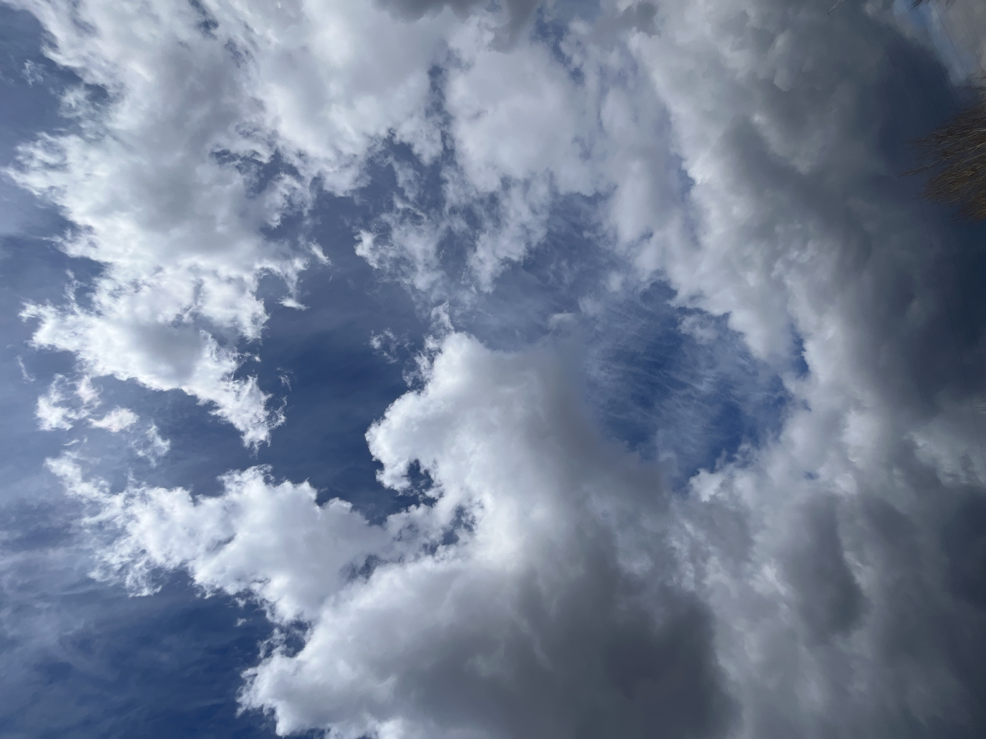 The image captures a dynamic sky dominated by a variety of cloud formations. It is a daytime scene, indicated by the visible patches of bright blue sky and the illumination of the white clouds. The sky features a mix of cloud types: scattered white cumulus clouds, particularly on the left and lower portions, wispy cirrus-like streaks, and larger, darker, and more densely packed clouds towards the right and upper right. These darker clouds suggest a thicker, perhaps rain-bearing, cloud layer.
In the upper right corner, thin, bare branches of a tree are visible, partially silhouetted against the darker clouds, indicating the shot was taken looking upwards from beneath some vegetation. There are no people or other specific objects visible besides the clouds and tree branches. No activity or event is taking place, just a static view of the weather conditions. The overall impression is one of a varied and changing sky, common in regions like Krasnoyarsk, Russia, where the image was captured. No text is visible in the media file.