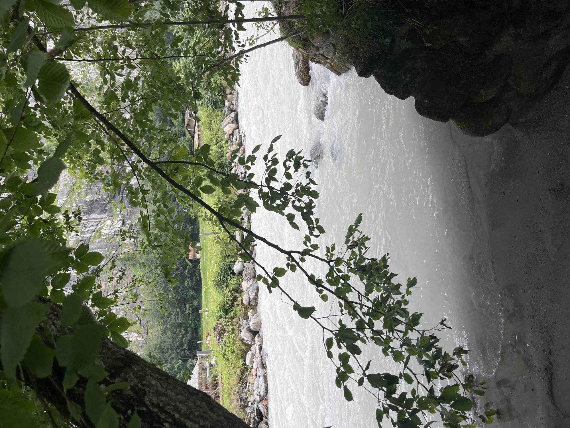 The image depicts a wide, milky-white river flowing through a natural landscape. The foreground is dominated by dark tree branches with green leaves, some of which hang over the water. The river's surface is turbulent, with visible ripples and splashes around rocks. On the left bank, a grassy area leads up to a small cluster of buildings, including what appears to be a small red-roofed house and a white structure. Further in the background, a steep, rocky mountain face rises, with dense green forest covering its lower slopes. The overall atmosphere suggests a remote, natural setting, possibly in a mountainous region. While the image is suggestive of a location in Wengen, Switzerland, the specific visual elements do not definitively confirm this without external information. There are no people visible in the frame.