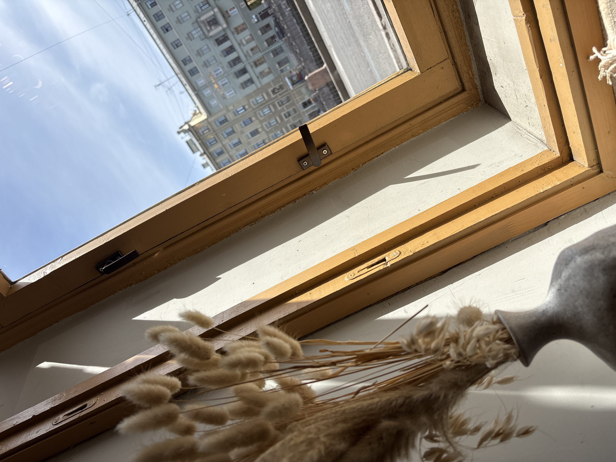 The image shows a view from a window in Saint Petersburg, Russia. The window frame is painted a light yellow color. Outside, a high-rise building is visible, reflected in the glass, suggesting a location within the city where older buildings are interspersed with modern structures. Inside, there is a white windowsill, with a vase holding dried bunny tail grass. The style of the vase and the presence of dried flowers suggest an aesthetic interest in natural elements. The lighting indicates it is daytime, with sunlight streaming in through the window, creating shadows on the windowsill. The window hardware appears to be of an older style, suggesting a building with some age.