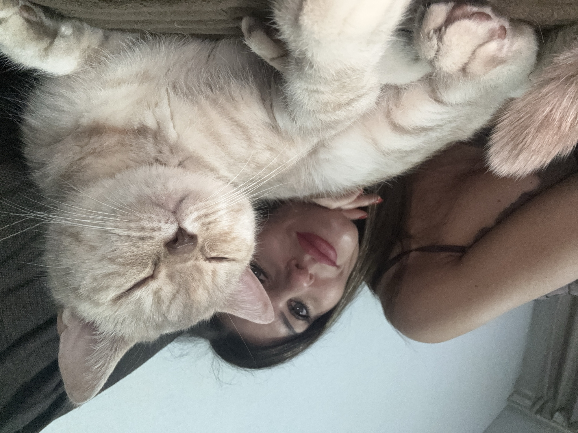 An intimate, rotated close-up photograph features a light-colored cat and a woman in an indoor setting in Chaikovsky, Russia. The cat, appearing to be a cream or light tabby domestic shorthair, dominates the upper part of the frame, resting with its eyes nearly closed in a relaxed state. Its soft, dense fur shows faint stripes, and prominent white whiskers extend from its muzzle. The cat's paws are curled near its body, one with visible pink paw pads.
Behind and beneath the cat's head, the woman's face is partially visible. She has dark hair, dark eyes, and is wearing red lipstick. She appears to be looking towards the camera with a gentle expression. Her right arm and shoulder, clad in what appears to be a dark camisole or sleeveless top, are visible on the right side of the image. The interaction suggests a close bond between the two, with the cat comfortably resting near or on the woman.
The background consists of a dark, textured surface, likely a couch or soft furnishing, behind the cat, and a lighter, plain surface, possibly a wall or ceiling, behind the woman. The lighting is soft and even, indicating an indoor environment. There is no visible text in the image. The overall mood is one of quiet affection and relaxation.