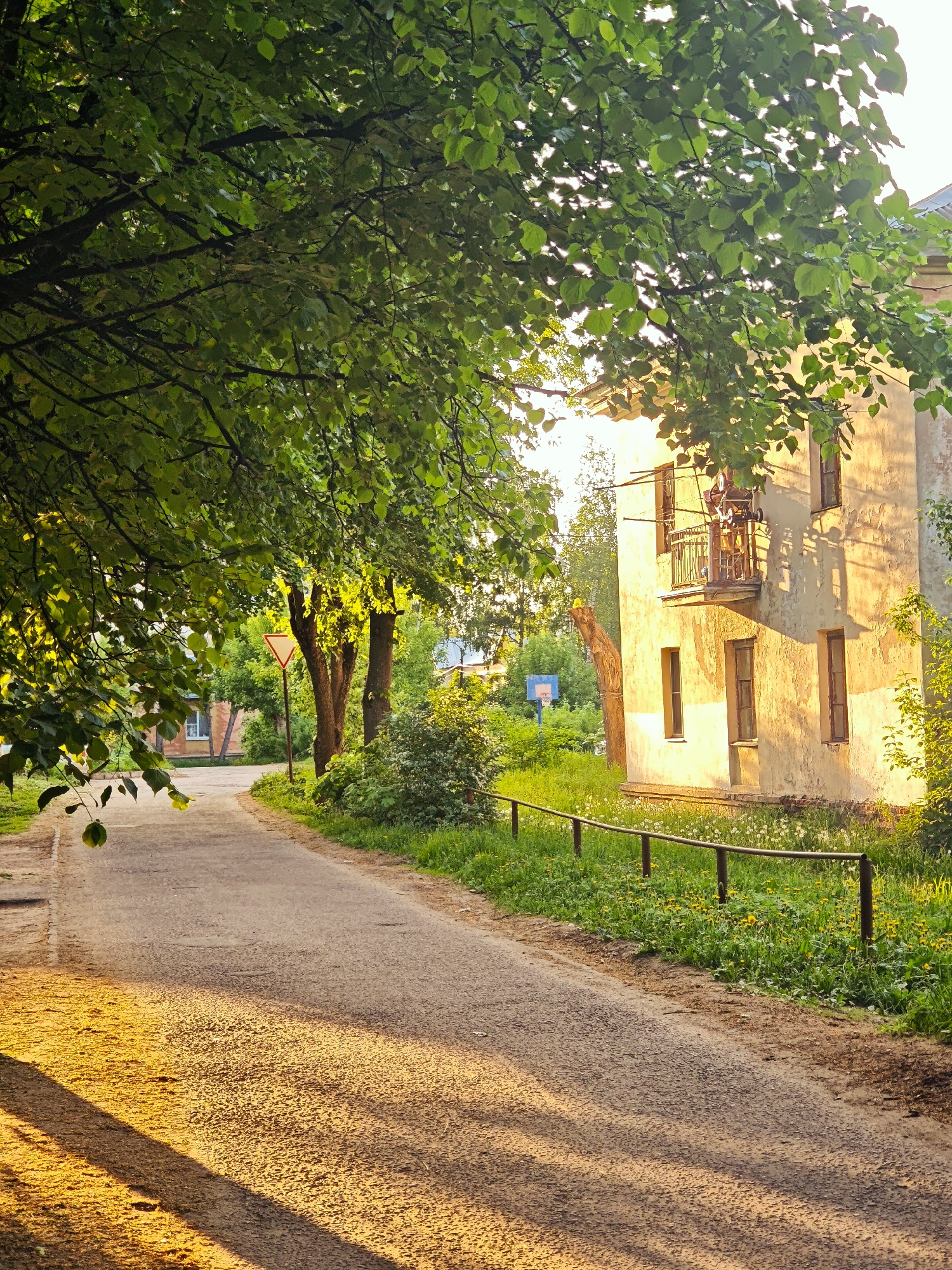 The image depicts a tranquil street scene in what appears to be Dmitrov, Russia, based on the architectural style and vegetation. A narrow asphalt road curves gently, lined on one side by a weathered two-story building with a balcony, and on the other by lush green foliage including trees and shrubs. Sunlight filters through the leaves, casting dappled shadows on the road and the building's facade. A low metal railing separates the road from a grassy area where dandelions grow. A yield sign is visible further down the road, partially obscured by the trees. In the background, a basketball hoop can be seen. The building has several windows, with some of the brick visible in spots and the plaster missing in other parts of the building.