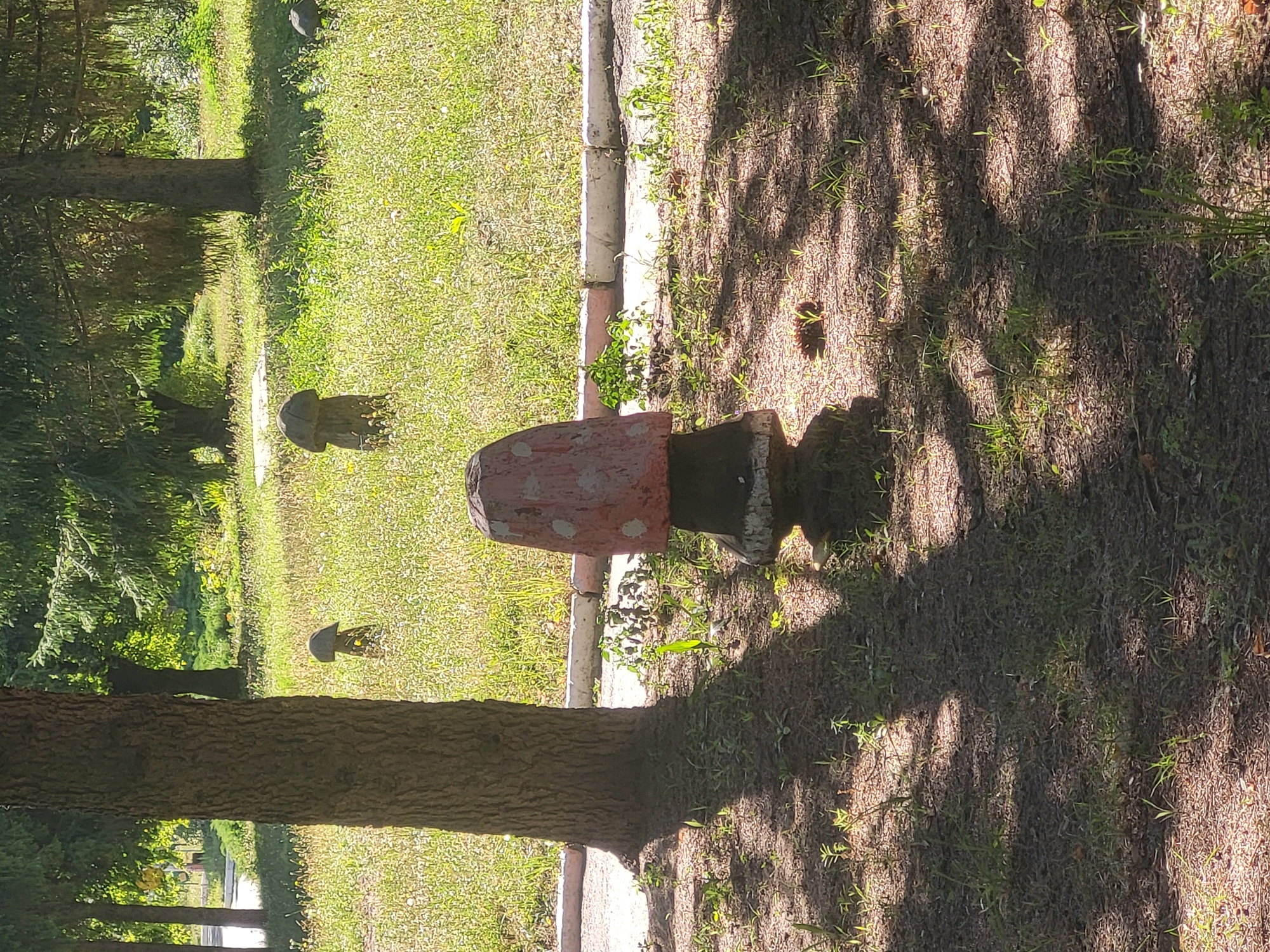 The image shows an outdoor scene in the city of Khotsky, Ukraine, with a focus on a decorative mushroom statue in the foreground. The statue is red with white polka dots on its cap and has a dark base. It is situated on a patch of ground with scattered grass and fallen leaves, partially shaded by a large tree to its left. In the background, there is a grassy area with more decorative mushroom statues of various sizes and designs, some appearing to be made of concrete or stone. The landscape is dotted with trees and other vegetation. A paved pathway with a concrete border is visible behind the main mushroom statue, with more grass and plants growing alongside it. The lighting suggests it is a sunny day, with strong shadows cast by the trees and the main statue. The overall environment appears to be a park or a recreational area.