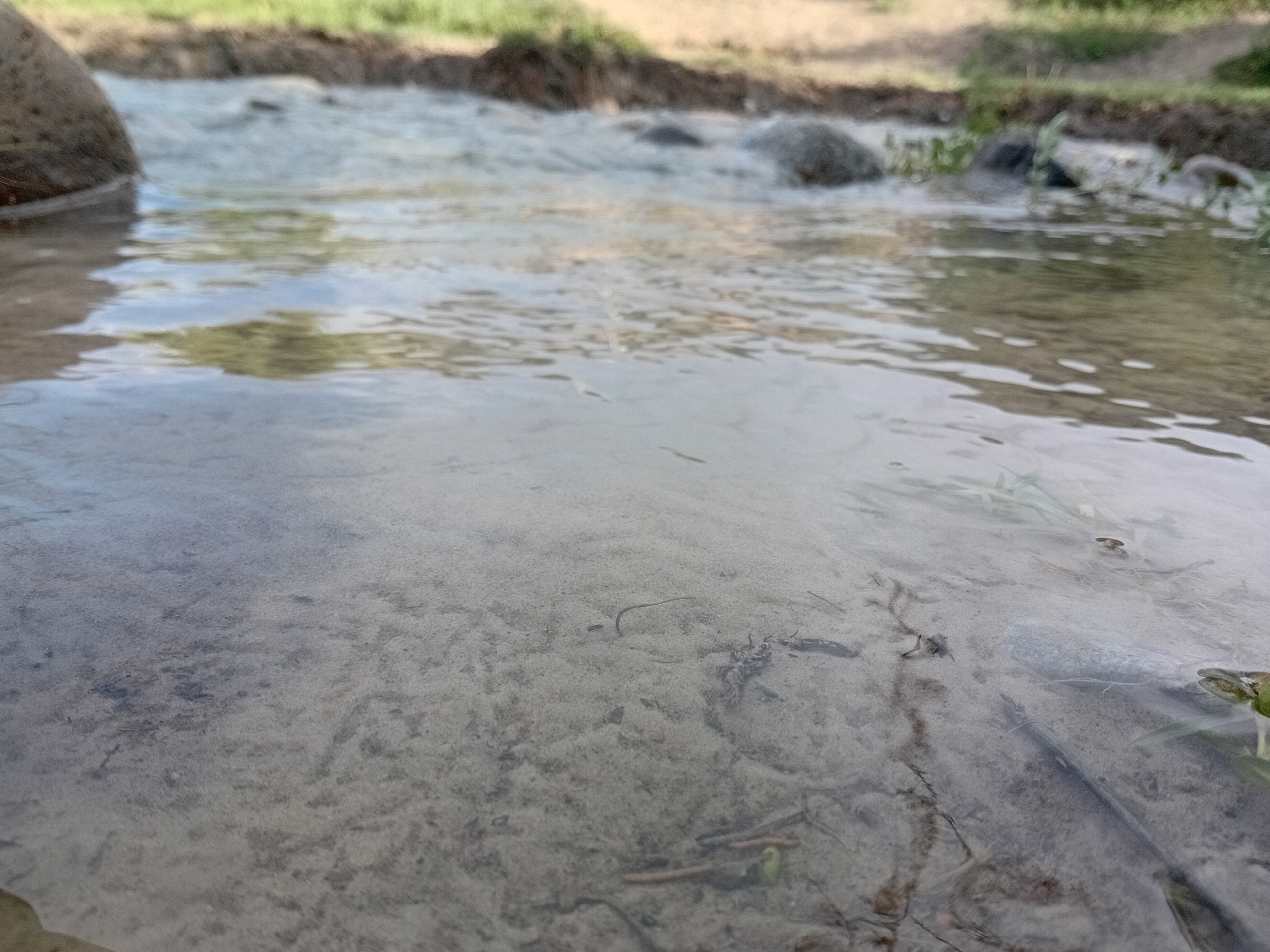 This is a close-up, low-angle, eye-level shot of a shallow, clear stream bed with sandy and rocky bottom. In the foreground, the sandy bottom is visible through the water, with some small debris and pebbles. The water is calm and reflects the sky and surrounding greenery. In the mid-ground, the stream widens and contains several rocks of various sizes. Further back, the stream appears to be flowing over a more uneven surface with more rocks and vegetation along the bank. The bank itself is covered in dry grass and soil. The background shows more vegetation and a slightly elevated bank. The overall scene depicts a natural environment, likely a rural area given the mention of Көксаяқ ауылдық округі, Kazakhstan. There are no people or animals visible in the image.