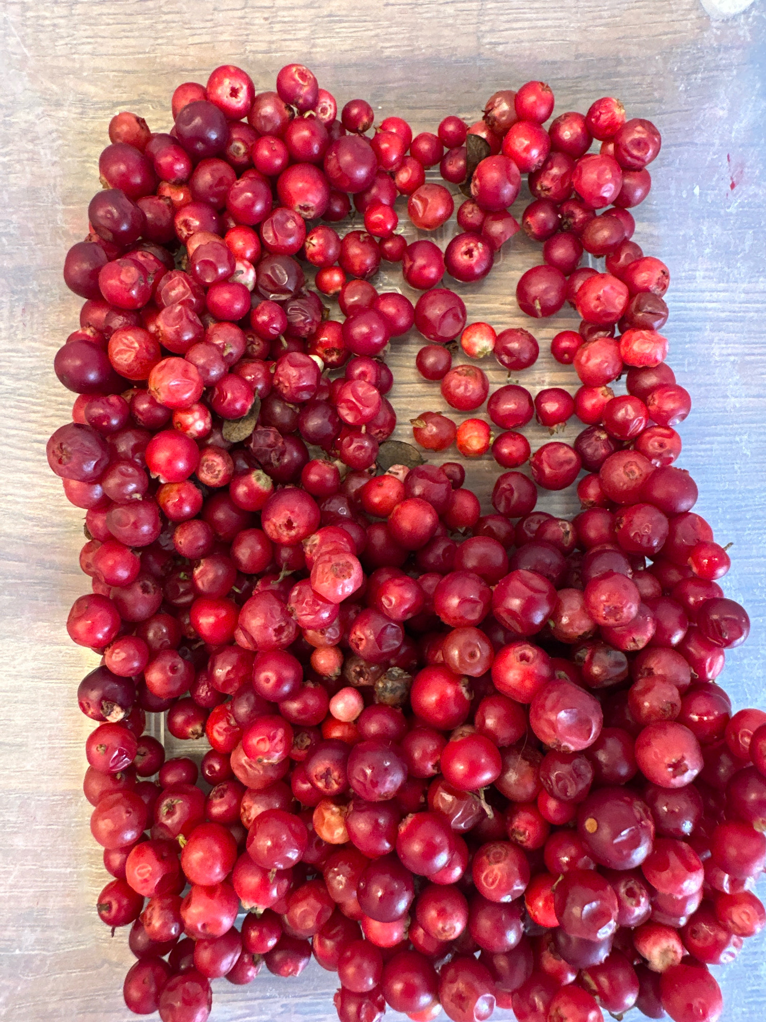 A close-up, overhead shot captures a container filled with fresh cranberries. The berries are a vibrant red, with some displaying deeper purple hues. They are densely packed, creating a textured surface that fills the frame. The background appears to be a light gray wooden surface, possibly a table or countertop. The image does not contain any people or indicate a specific location within Vidnoye, Russia.