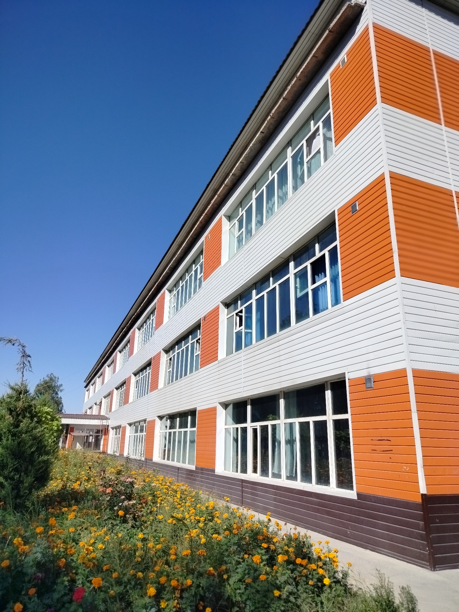 The image displays a modern, multi-story building with a distinctive orange and white facade, located in the city of Kölkent, Kazakhstan. The building's exterior is clad in horizontal siding panels, with alternating sections of vibrant orange and lighter gray. Large, multi-paned windows with white frames run along the length of each floor, reflecting the clear blue sky. The building has a sloped roof with visible gutters. In the foreground, a lush garden area is filled with numerous small yellow and orange flowers, with some green foliage and a portion of a dark green evergreen tree on the left. The ground in front of the garden appears to be a light-colored paved surface. The scene is bathed in bright sunlight, casting subtle shadows. There are no people visible in the image.