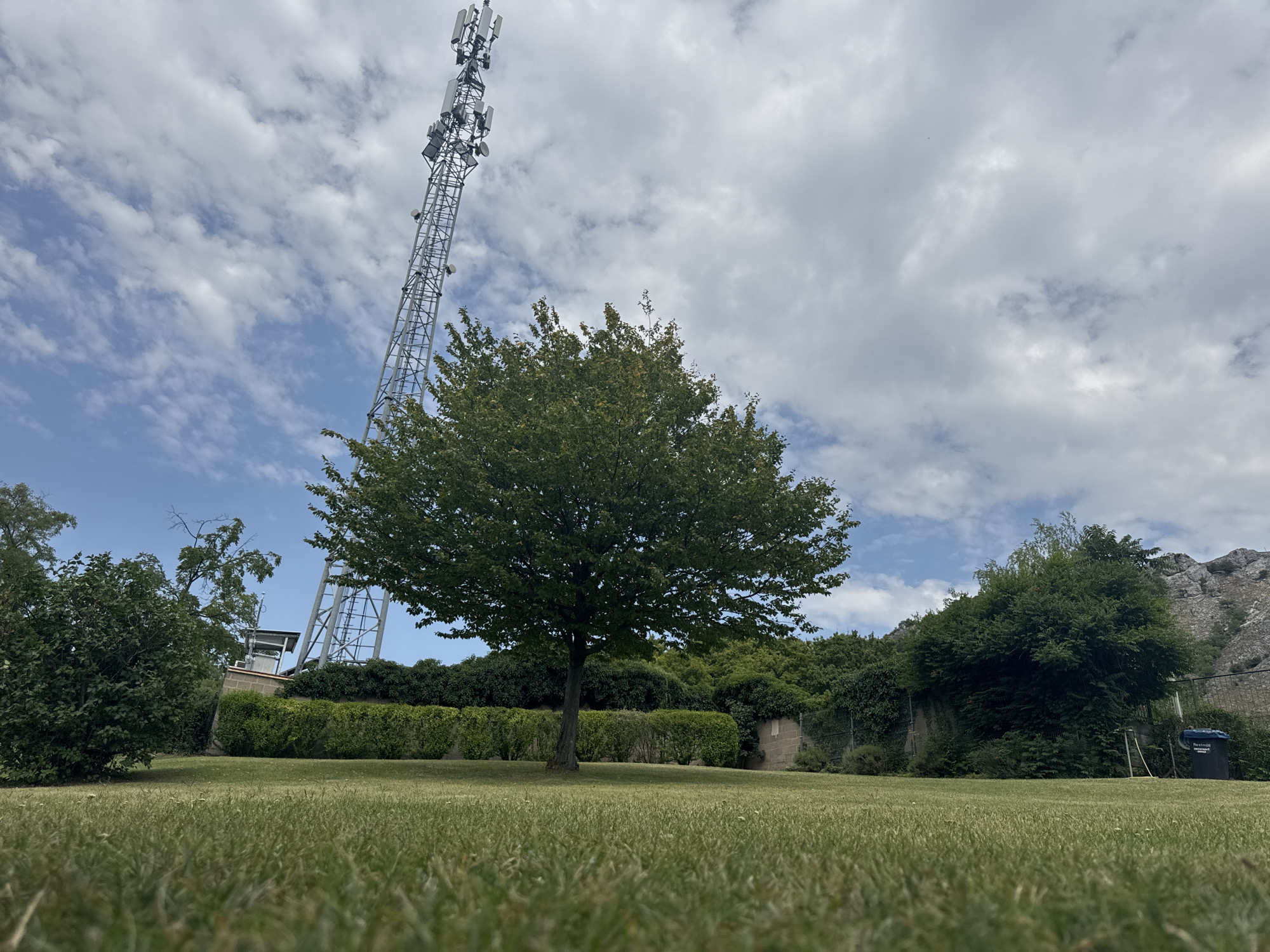 The image shows a tall telecommunications tower and a mature tree in a grassy park area. The tower, constructed of metal lattice, is positioned in the background to the left, with its upper section featuring multiple antennas and equipment. A prominent, leafy green tree stands in the mid-ground, centered within the frame. The ground is covered with short, well-maintained grass. In the background, behind the tree and tower, are dense green hedges and more trees, with a rocky outcrop visible to the far right. The sky is partly cloudy with patches of blue visible. The scene is likely located in Hainburg an der Donau, Austria, given the typical landscape and presence of such infrastructure in park areas. No people or animals are present in the image.