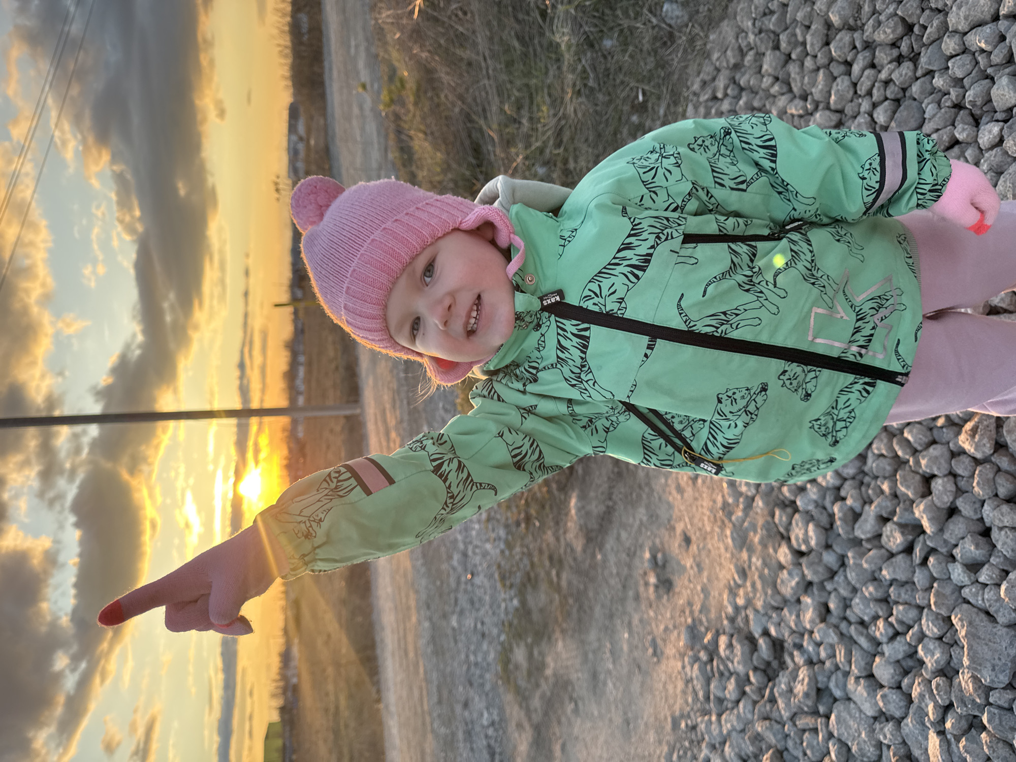 A young child is captured in an outdoor, eye-level shot during sunset. The child, appearing to be a toddler, is centered in the frame, wearing a pink knit hat with pom-poms, a mint-green jacket with black tiger patterns, pink gloves, and light pink pants. On the jacket, near the zipper, a small black tag with white text reads "KIDS PERTEC".
The child looks towards the camera with a slight, curious smile. Their left arm is extended, and the index finger, covered by a pink glove with a red tip, points towards the bright, setting sun on the left side of the frame. The sunset creates a warm, golden glow across the scene, with the sky displaying a blend of orange, yellow, and blue hues, interspersed with clouds.
The ground is covered in gray gravel. In the background, sparse dry vegetation and dirt are visible, along with distant power lines, suggesting a rural or semi-rural setting. The warm light indicates the "golden hour" of sunset, creating a pleasant and observational mood in Горный, Russia.