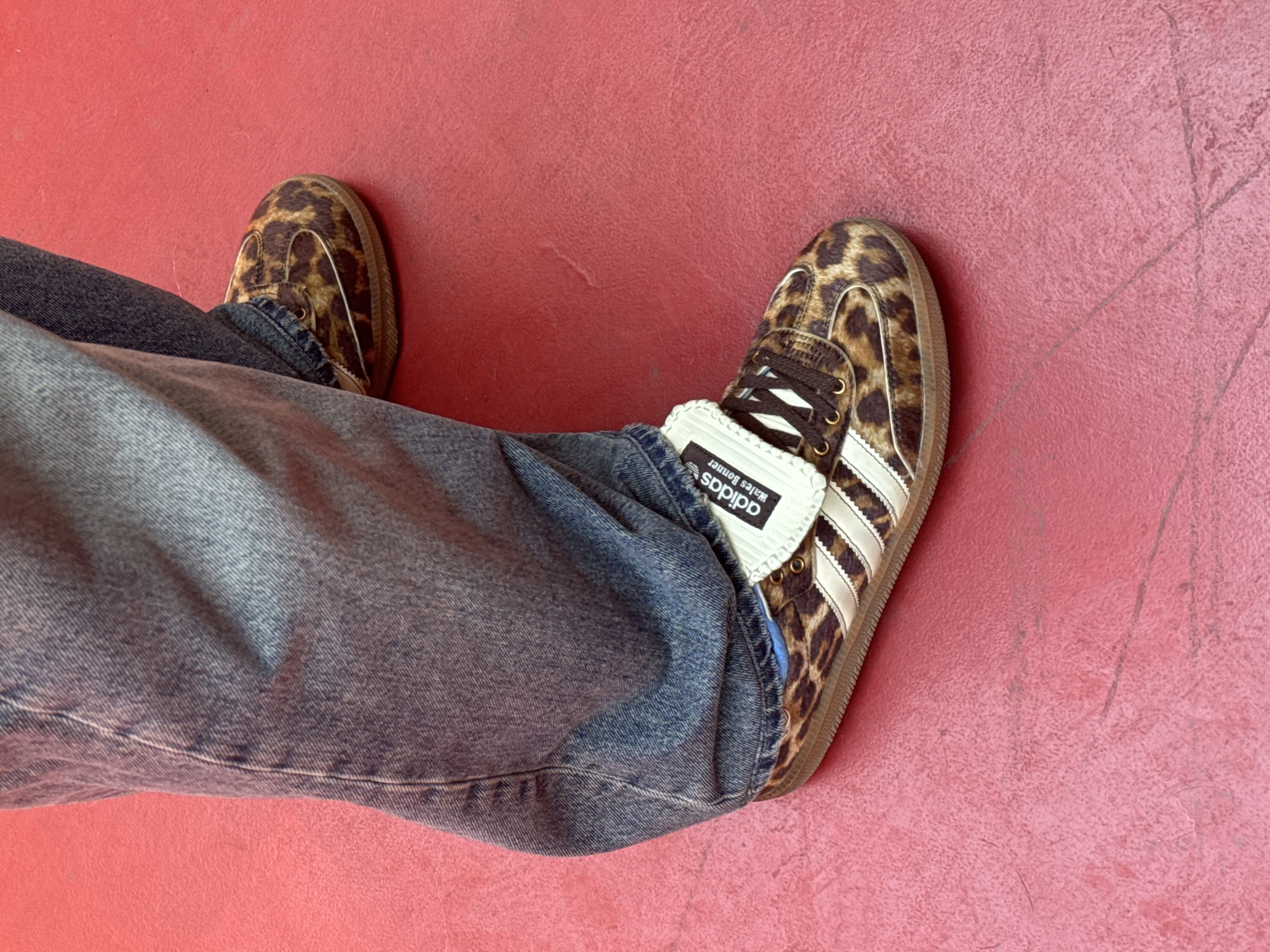 A close-up, eye-level shot captures the lower half of a person wearing blue denim jeans and Adidas Samba sneakers with a leopard print pattern and white stripes. The shoes are the focal point, with the left shoe prominently displayed and the right shoe visible in the background. The background is a textured, red surface, possibly a floor or ground, with faint lines and scuff marks. The lighting is even, suggesting an outdoor or well-lit indoor environment. The scene does not provide enough information to determine the specific location in Yerevan, Armenia, or any actions beyond the static presentation of the footwear.