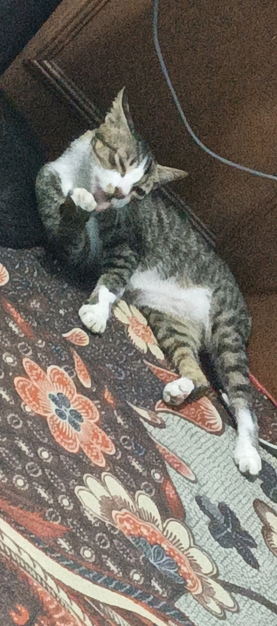 A tabby cat is grooming itself while lying on a patterned surface. The cat is predominantly grey with black stripes and white markings on its chest and paws. Its left front paw is raised to its face, and its eyes are closed. The patterned surface beneath the cat features floral motifs in shades of orange, red, blue, and white on a dark background, with a lighter patterned area to the right. A brown, textured surface, possibly a couch or chair, is visible in the background. The scene is indoors and appears to be a domestic setting.