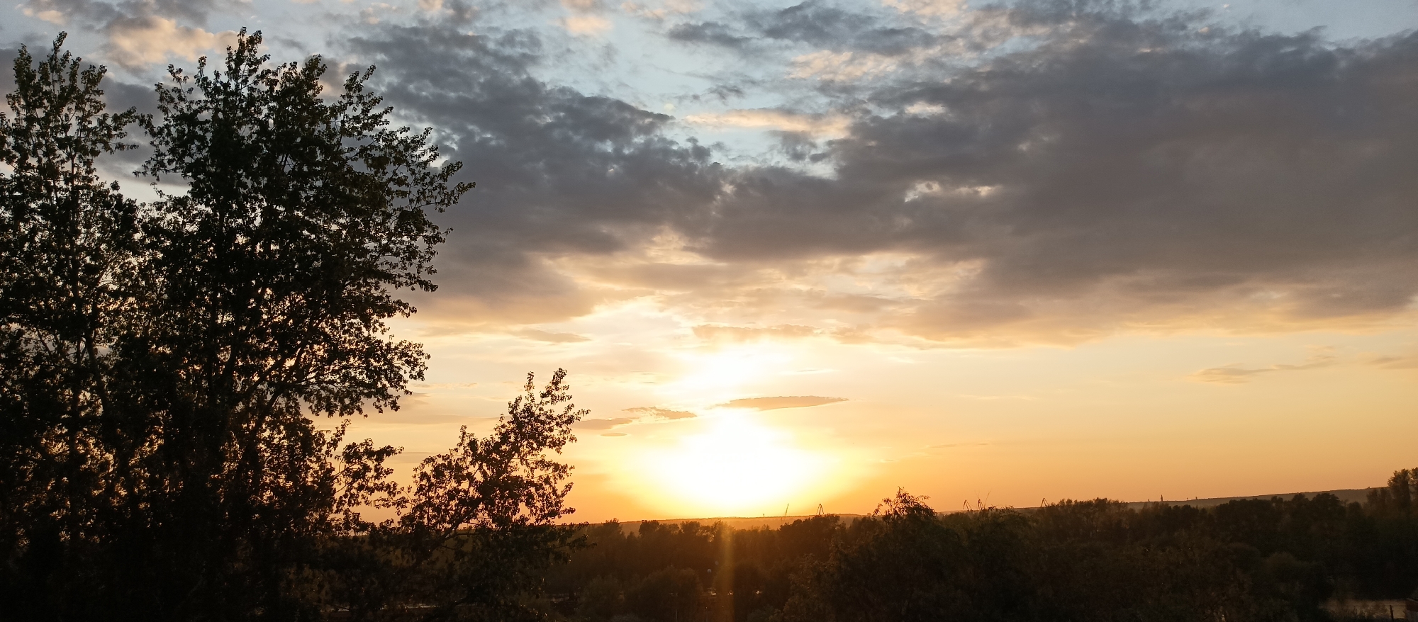 The image shows a sunset over a landscape, presumably in an area bordering a city. In the foreground, trees with dark foliage dominate the left side of the frame. In the distance, the horizon line is composed of dense trees and what appears to be urban development, all silhouetted against the setting sun. The sun is the focal point, radiating a bright, orange light that permeates the sky. Above, the sky is filled with clouds, some dark gray and others lighter, reflecting the colors of the sunset. The location appears to be on the edge of a city with a large tree on the left.